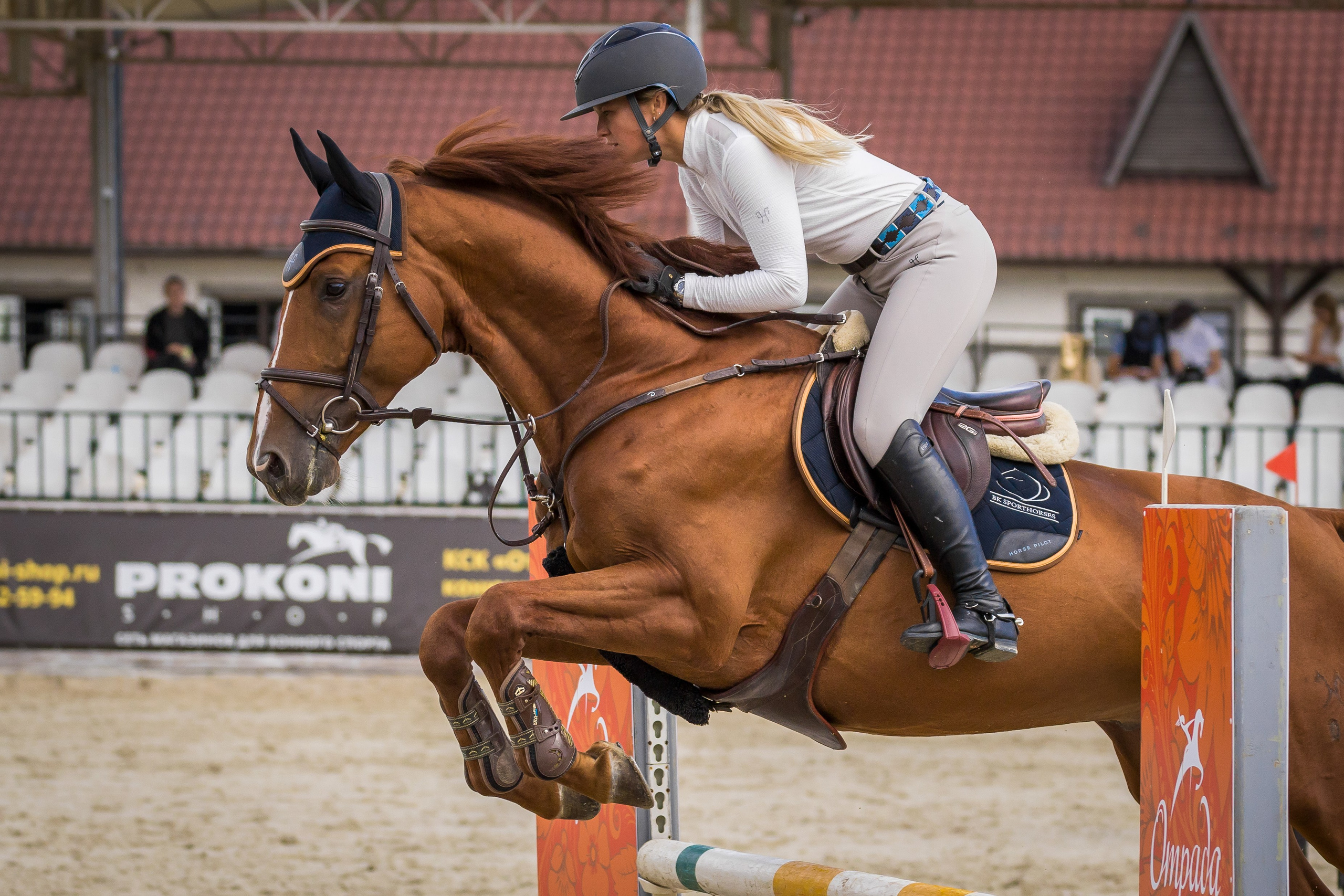 Конный спорт. Photomantis