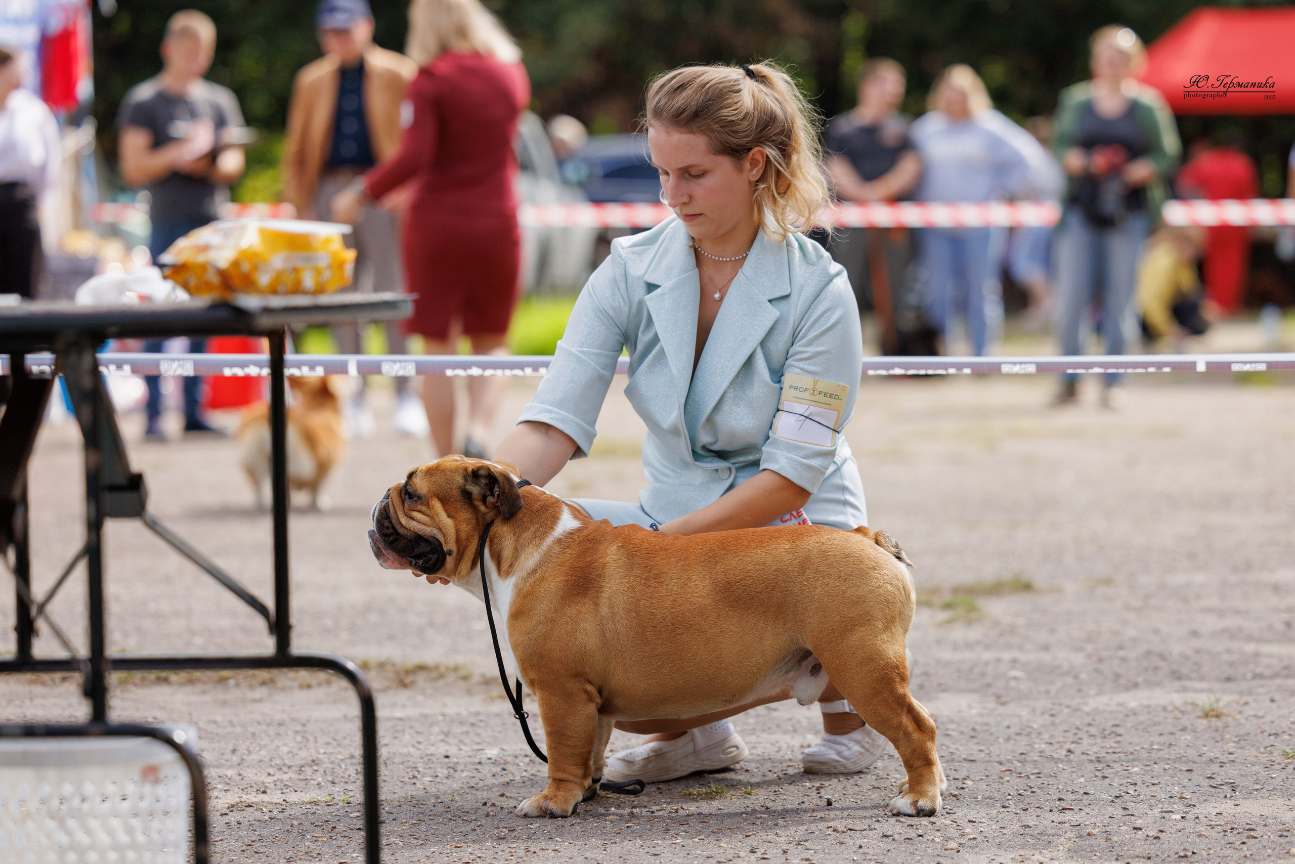 Тверь 10.08.2025. Фотограф-анималист Юлия Германика