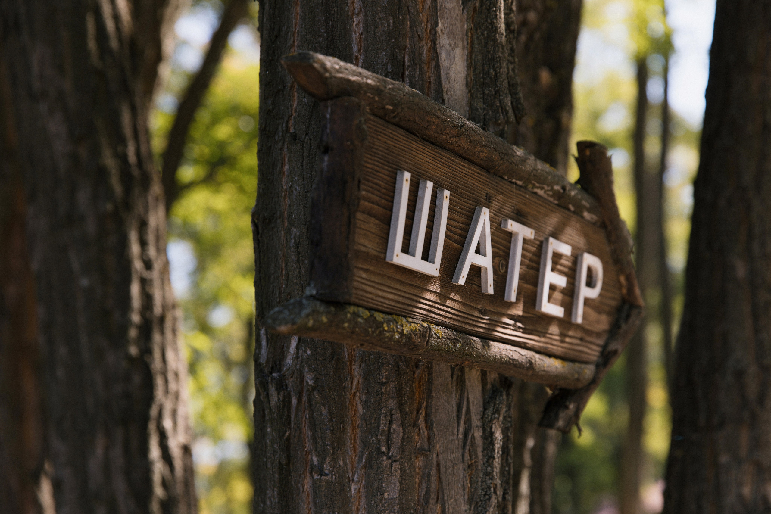 V ❤ A. Syrovatkina_Photographer.ru