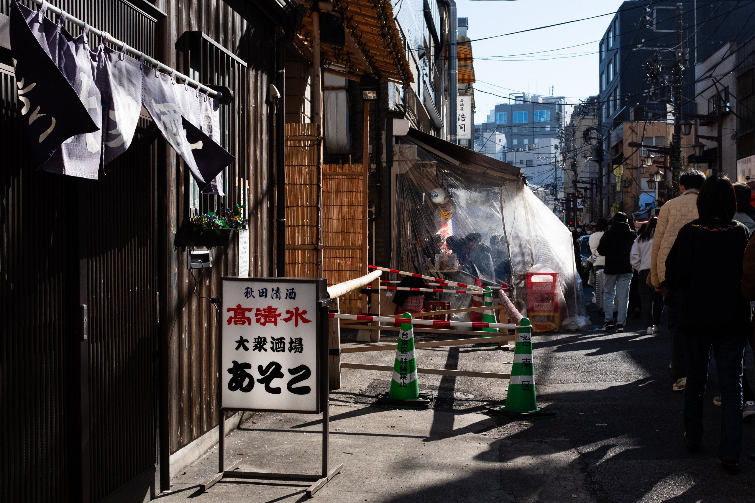 Tokyo. Regina Platonova
