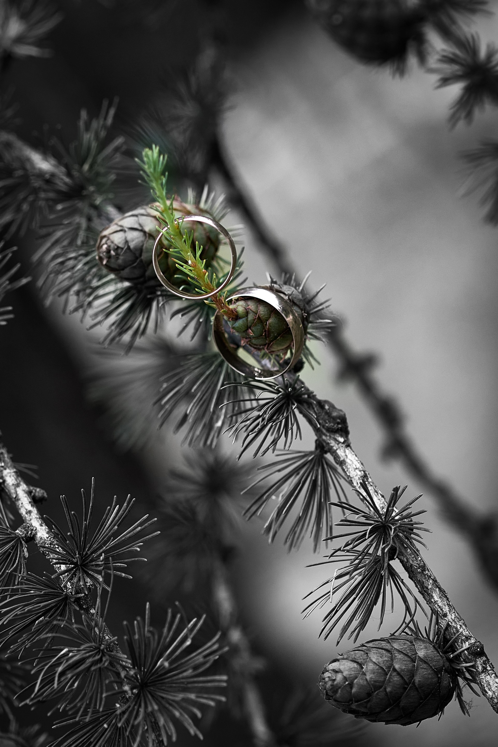 свадьба на природе