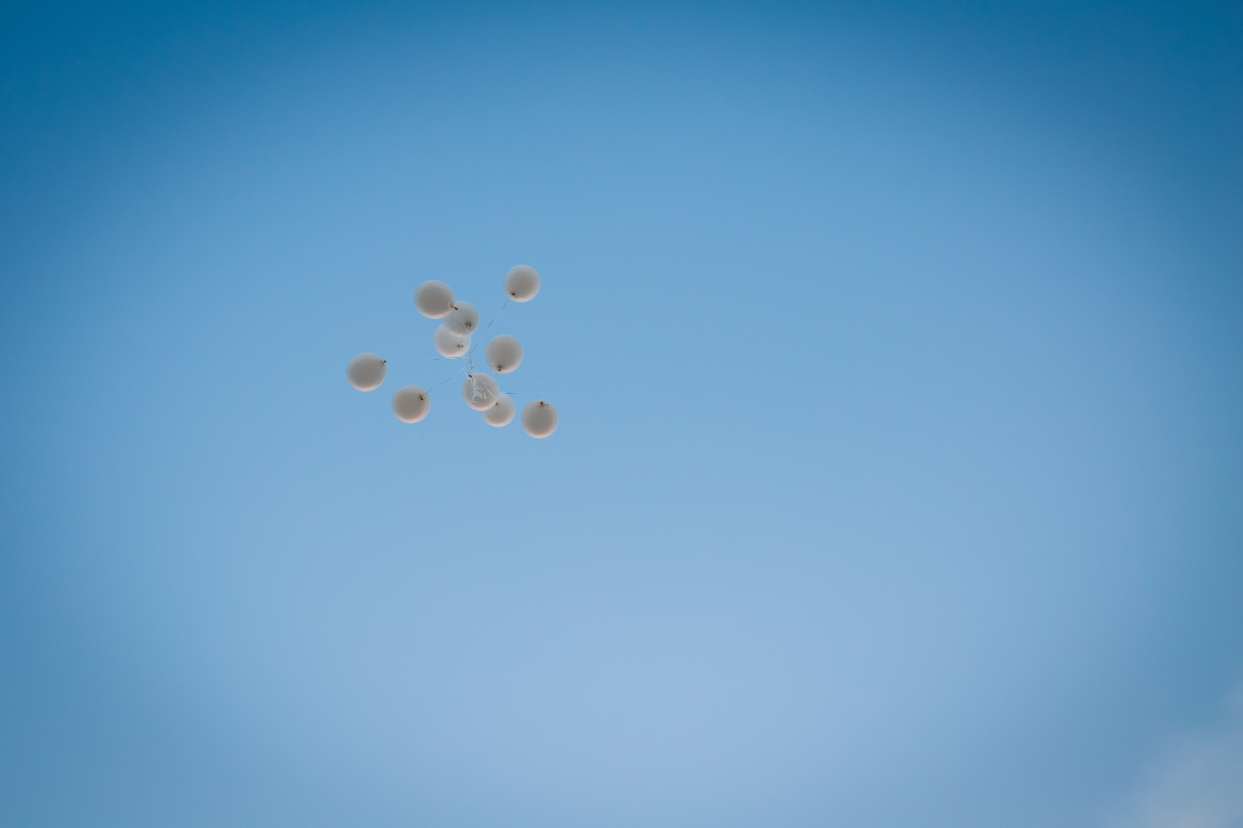 Анна, Игорь и Варвара