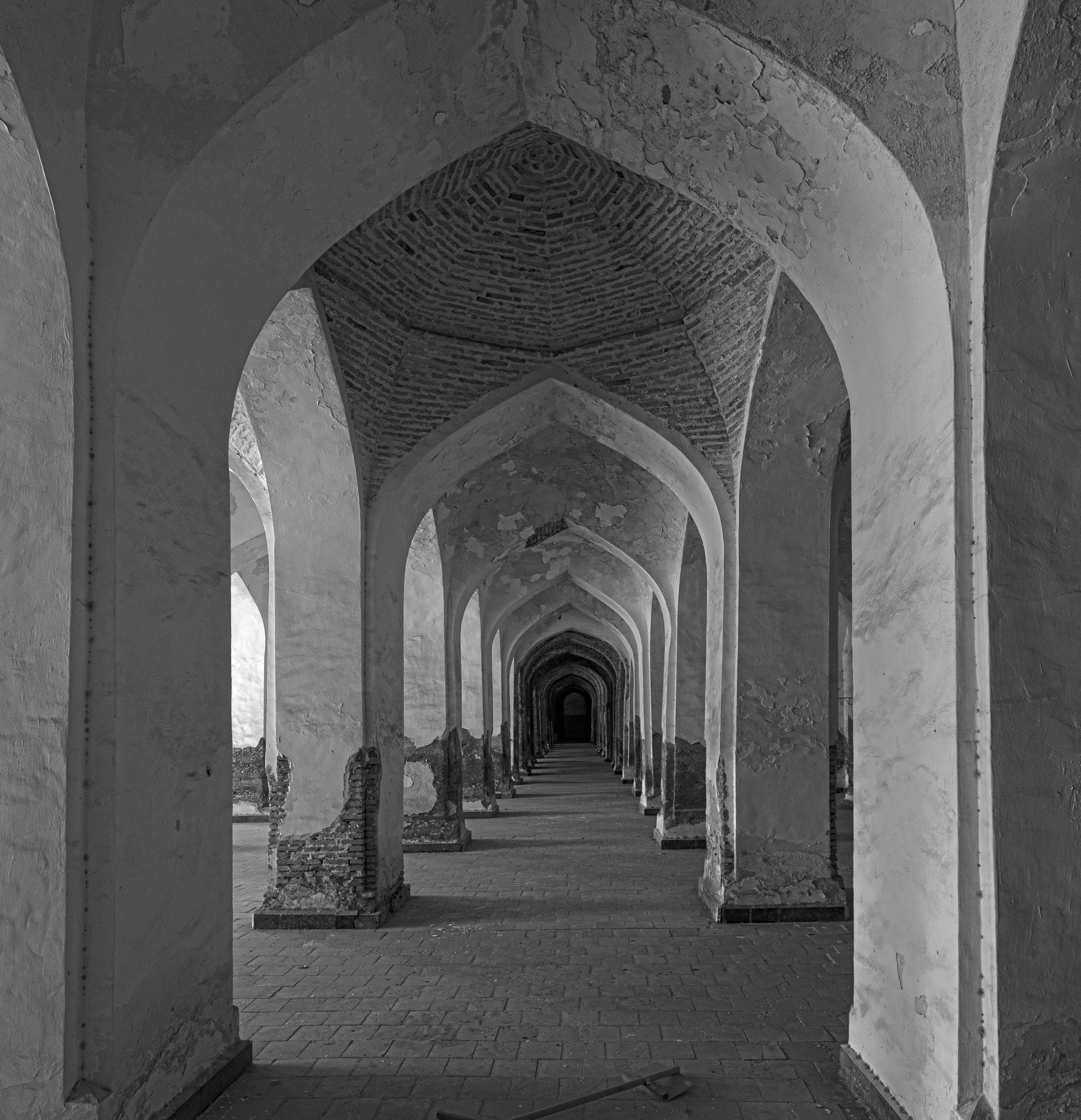 2025 год. Тащилин Сергей. Фотографии. Жизнь. Хобби