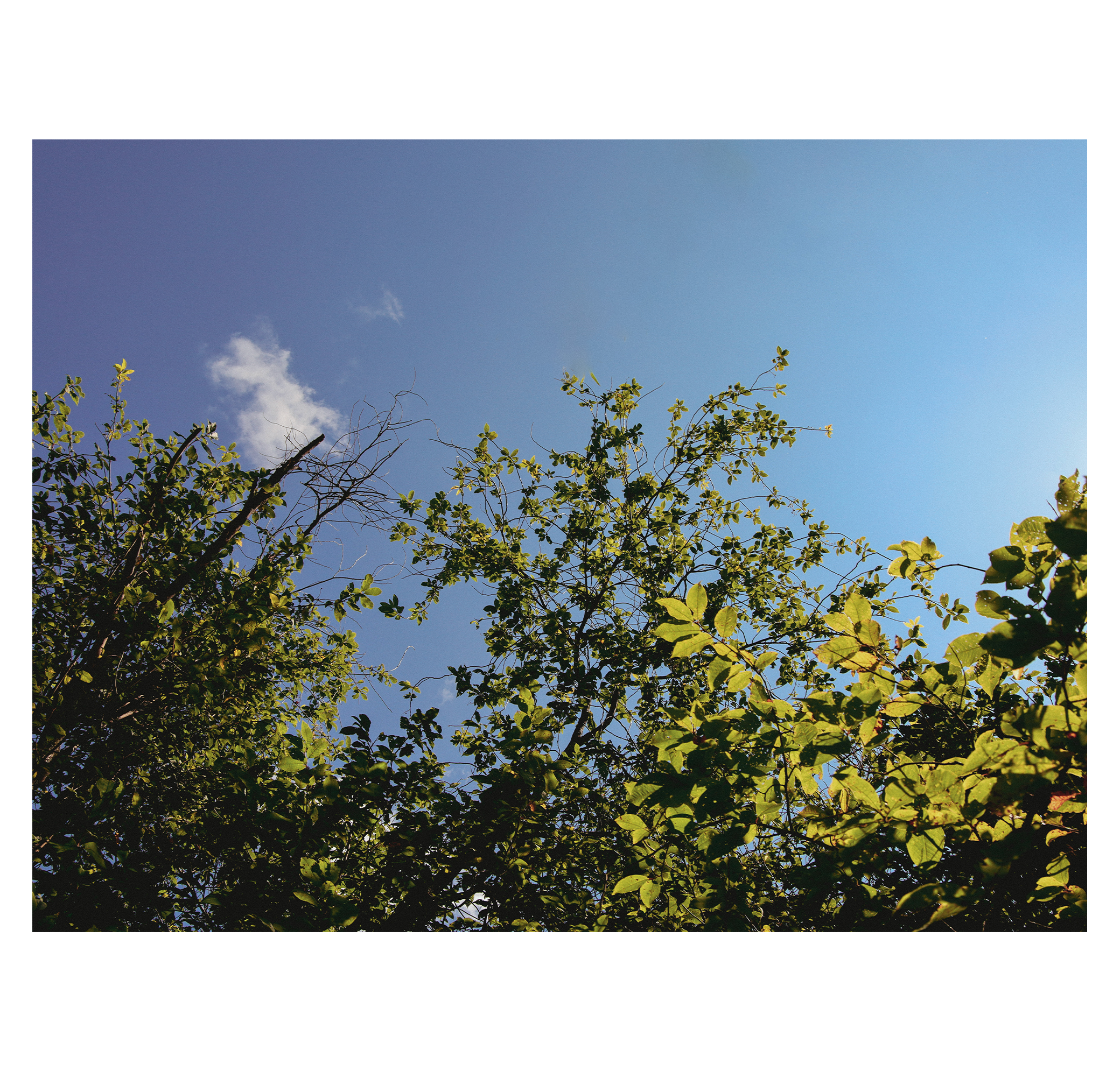 Summer hike. Фотограф/дизайнер в Екатеринбурге Хитрый Дмитрий