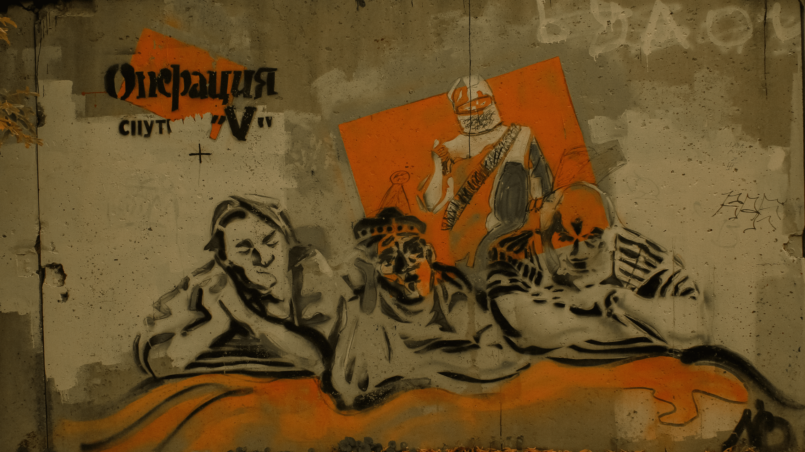 TMN summer '24. Фотограф/дизайнер в Екатеринбурге Хитрый Дмитрий