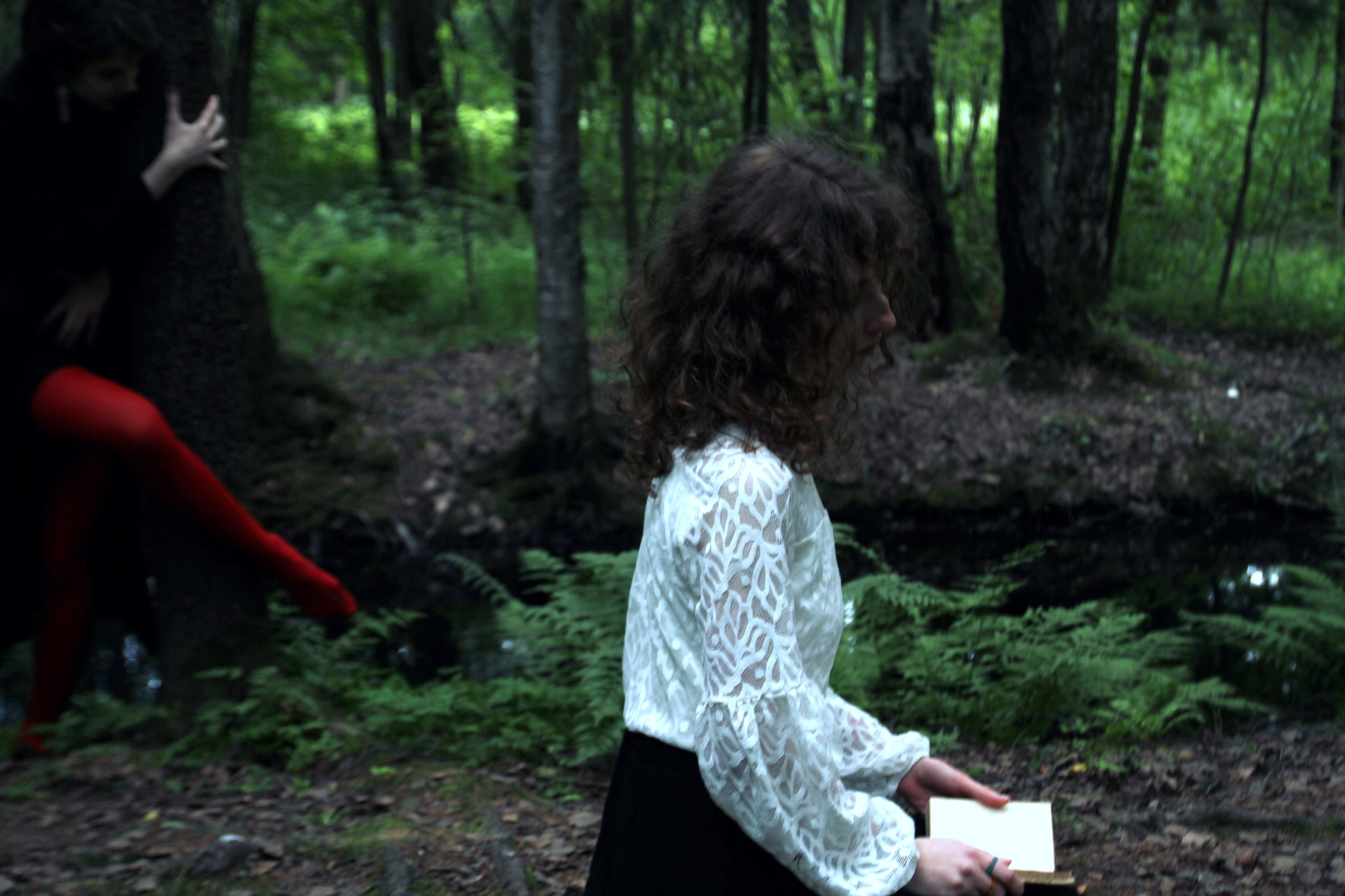 Time of roses. Серж Дробович | Фотограф | Санкт-Петербург