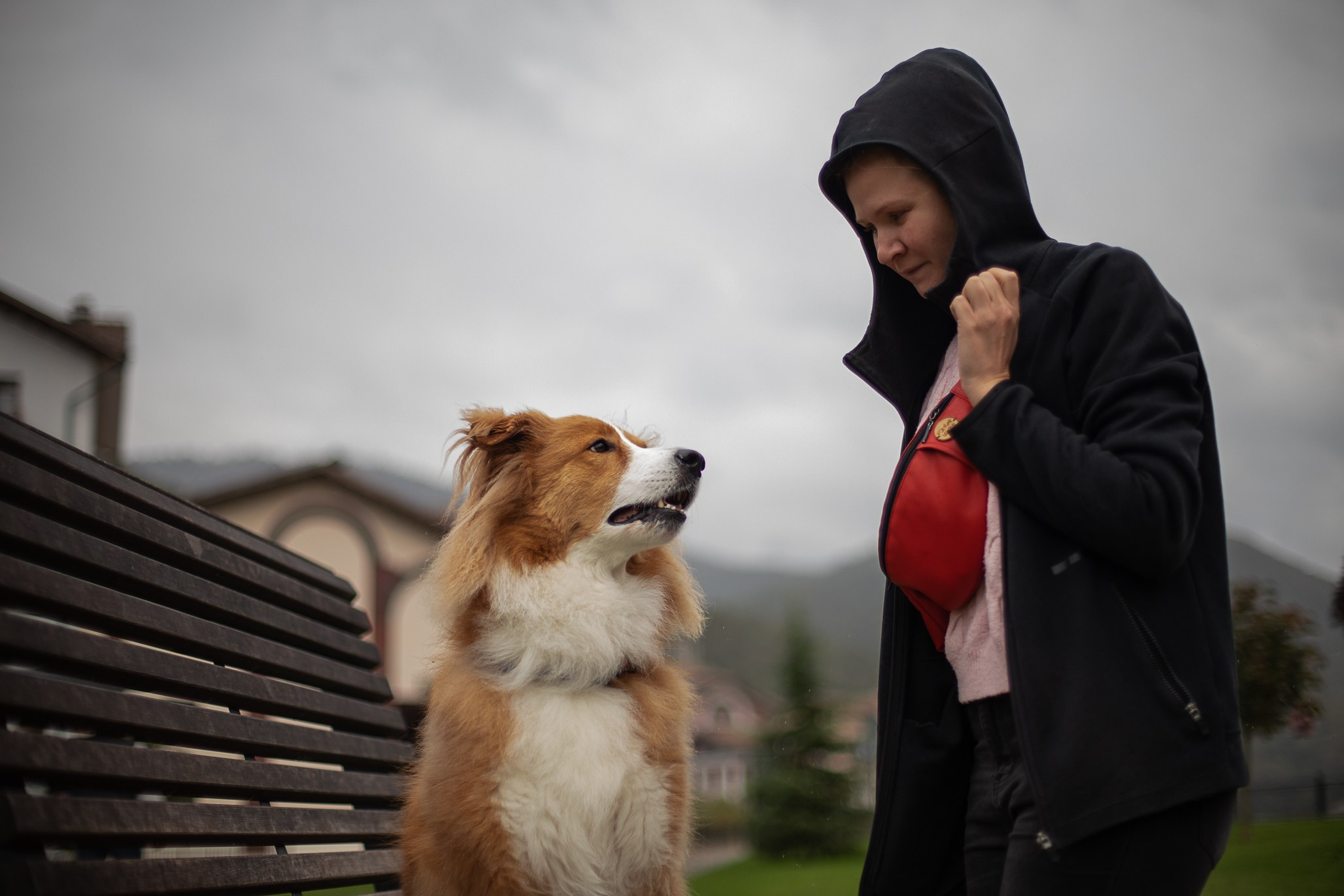 Терри, метис. Ирина Голомб|Фотограф-анималист в  Сочи и Калининграде