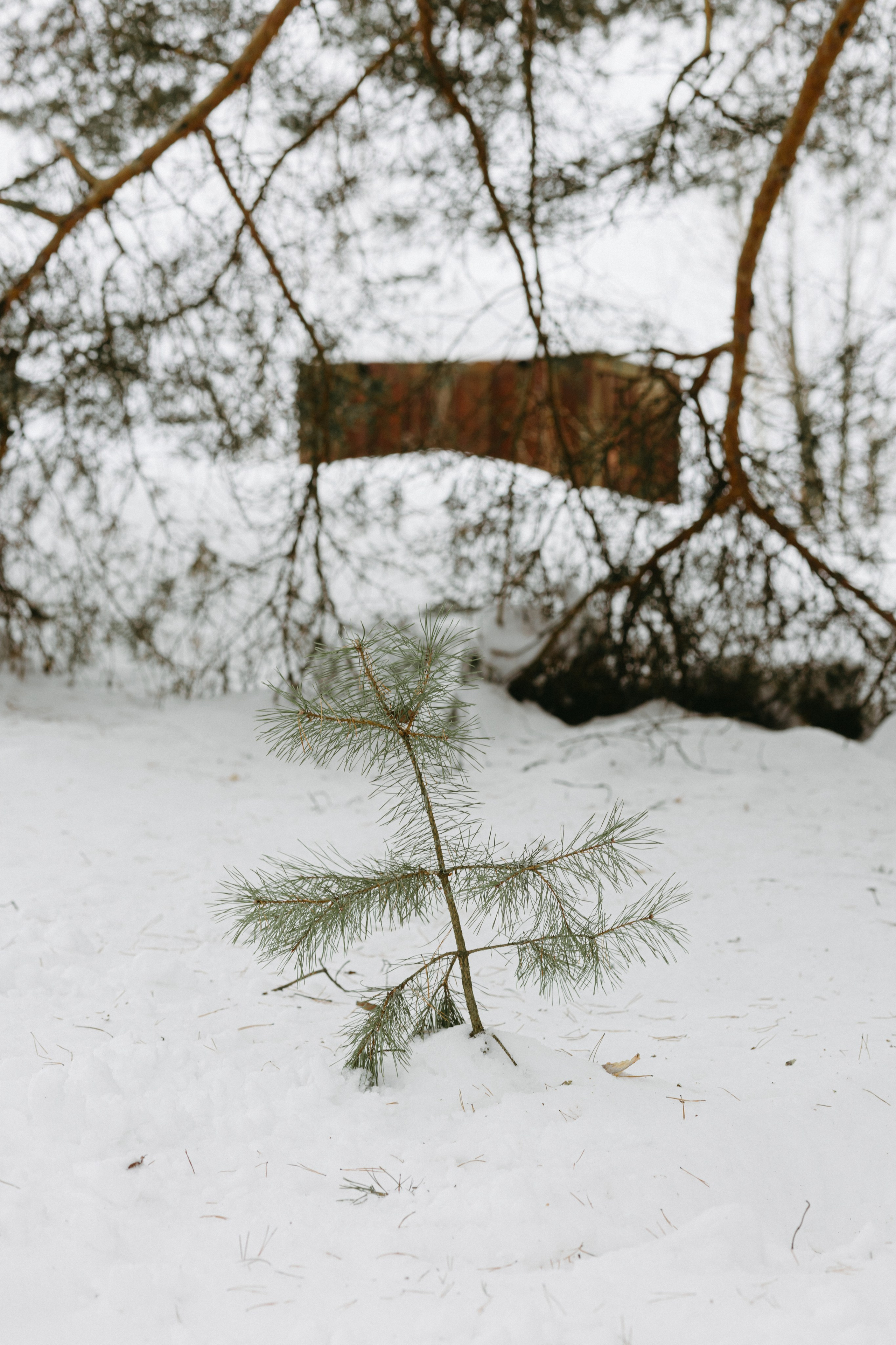 Изготовление куклы к Масленице. Про любовь