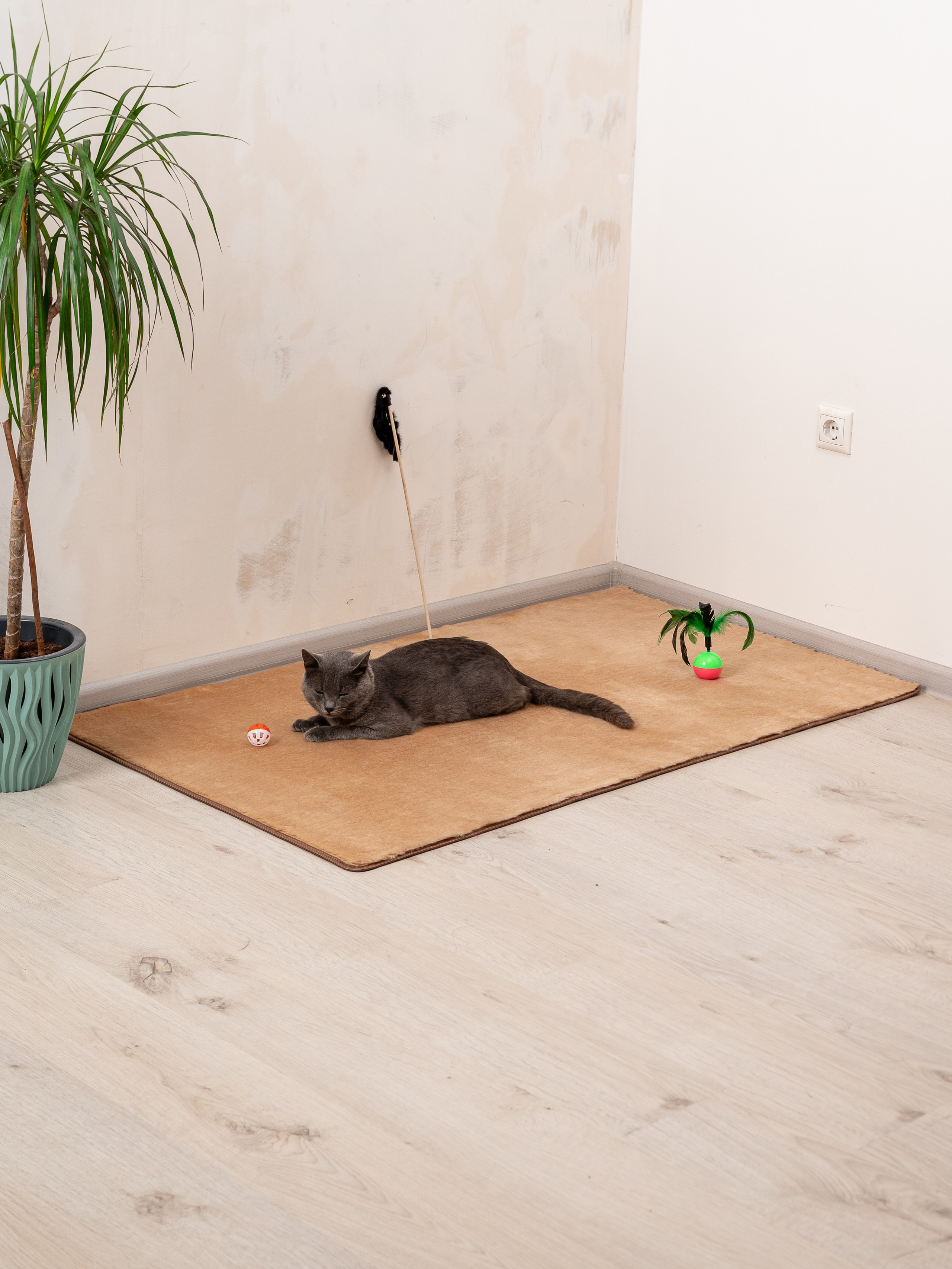 Коврики для дома. Предметный фотограф, фото для маркетплейсов Пятигорск, КМВ