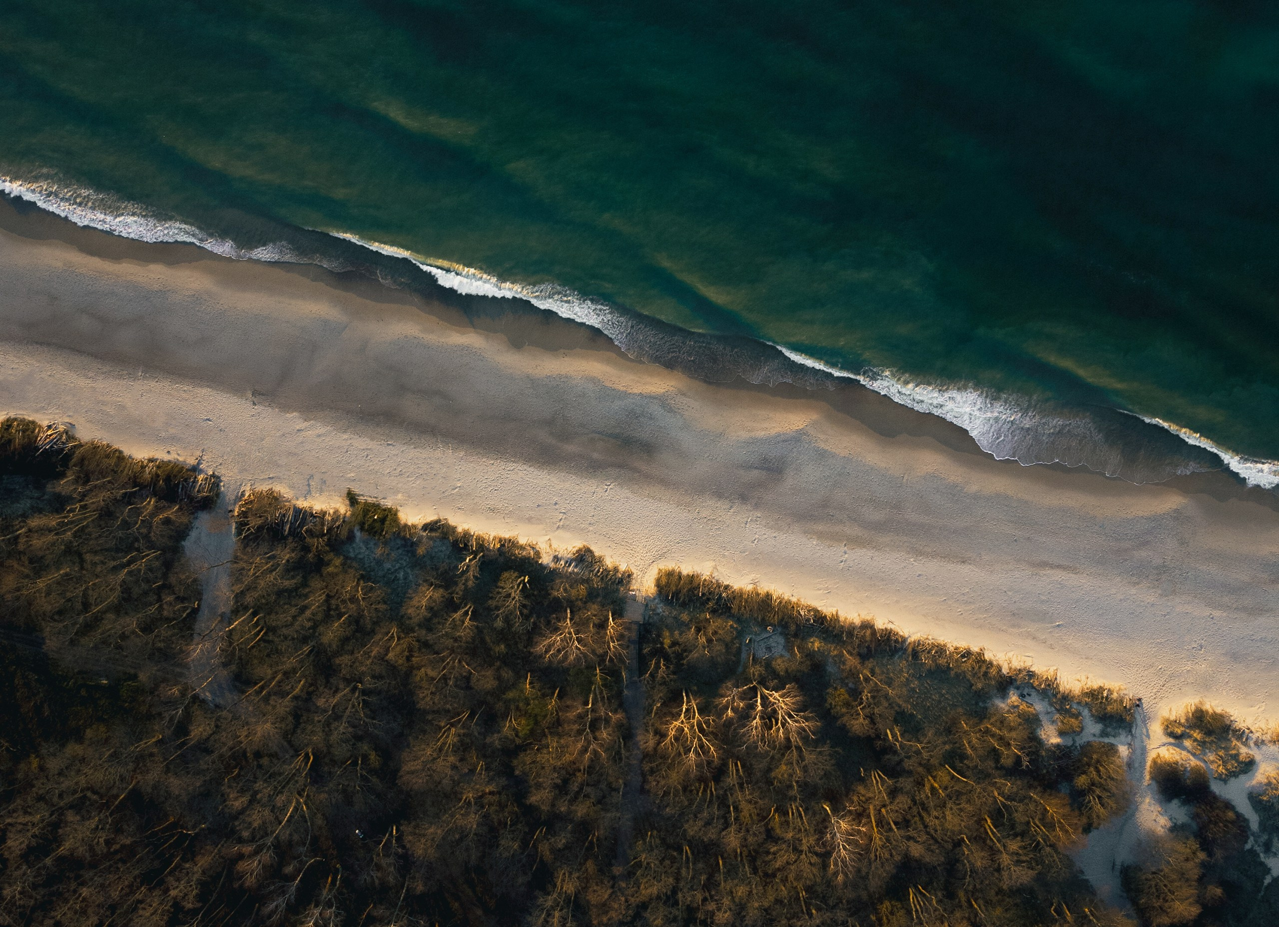 Фотография Балтийского моря в Калининградской области