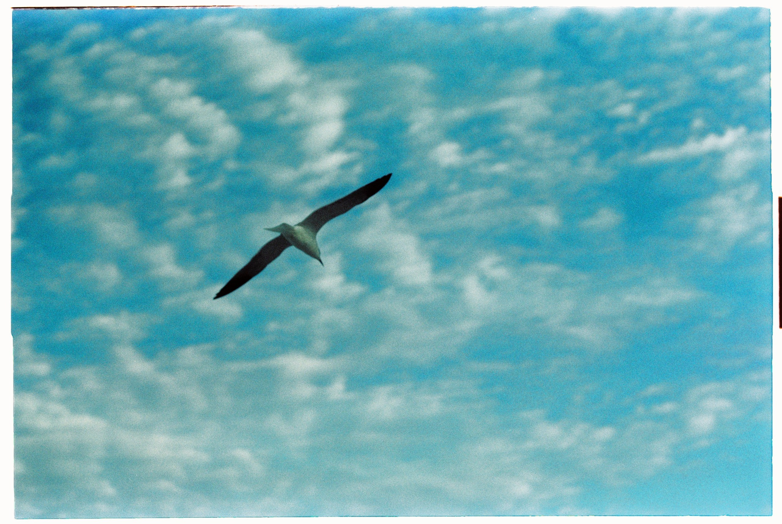 Florida. Егор Фотобрат — Портретный фотограф теперь в Ташкенте