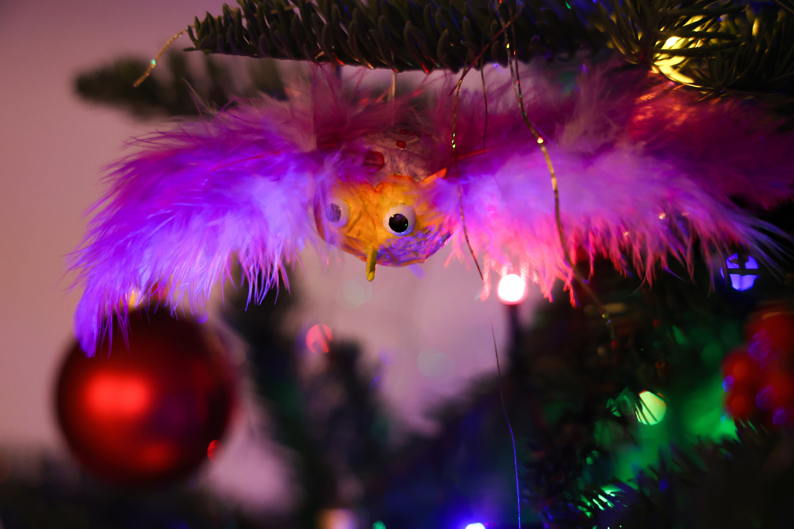 Christmas tree. Portrait photographer based in Toronto — Blinova Mariia