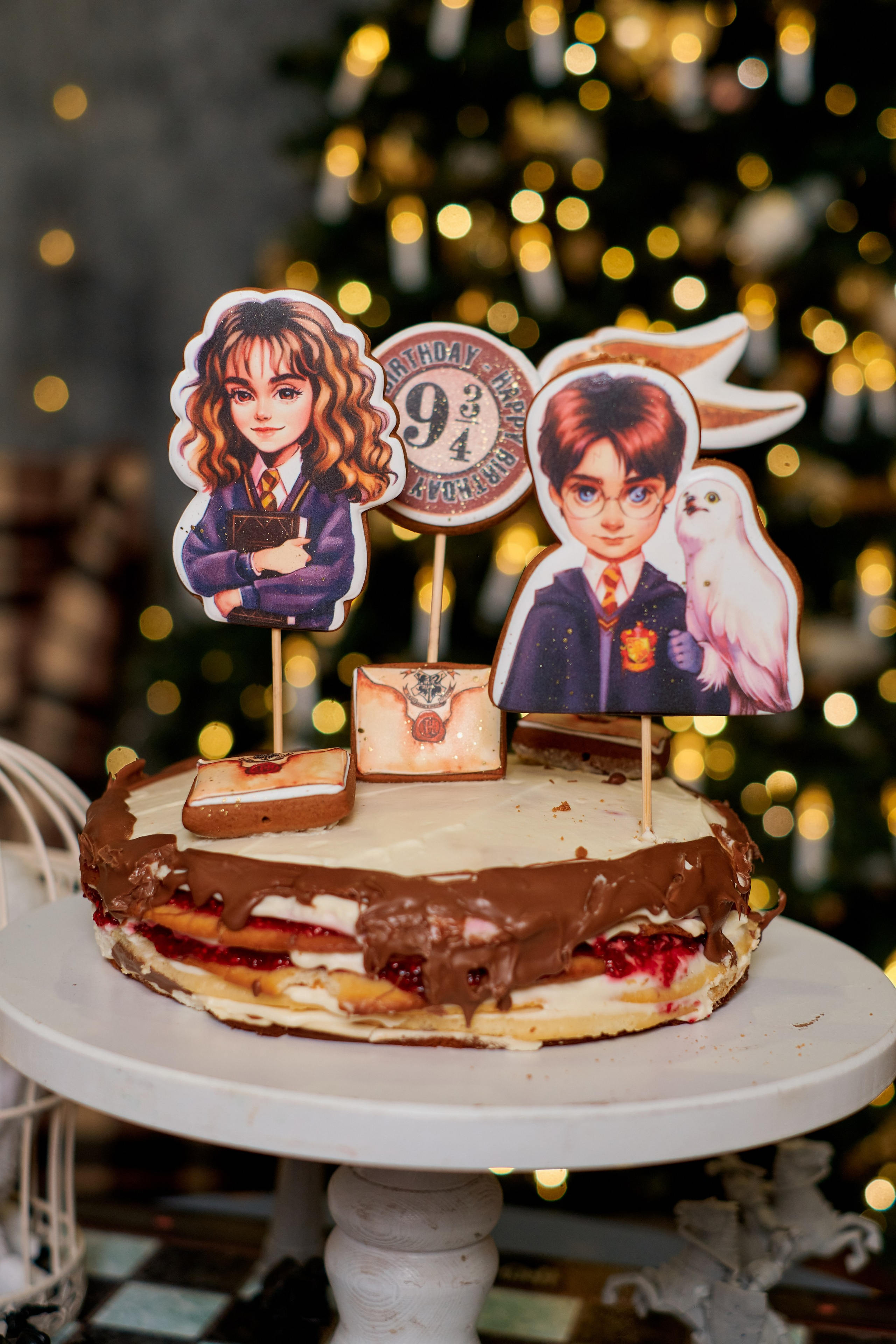 День рождения стиле Гарри Поттер. Фотограф Таганрог Анна Трайжон