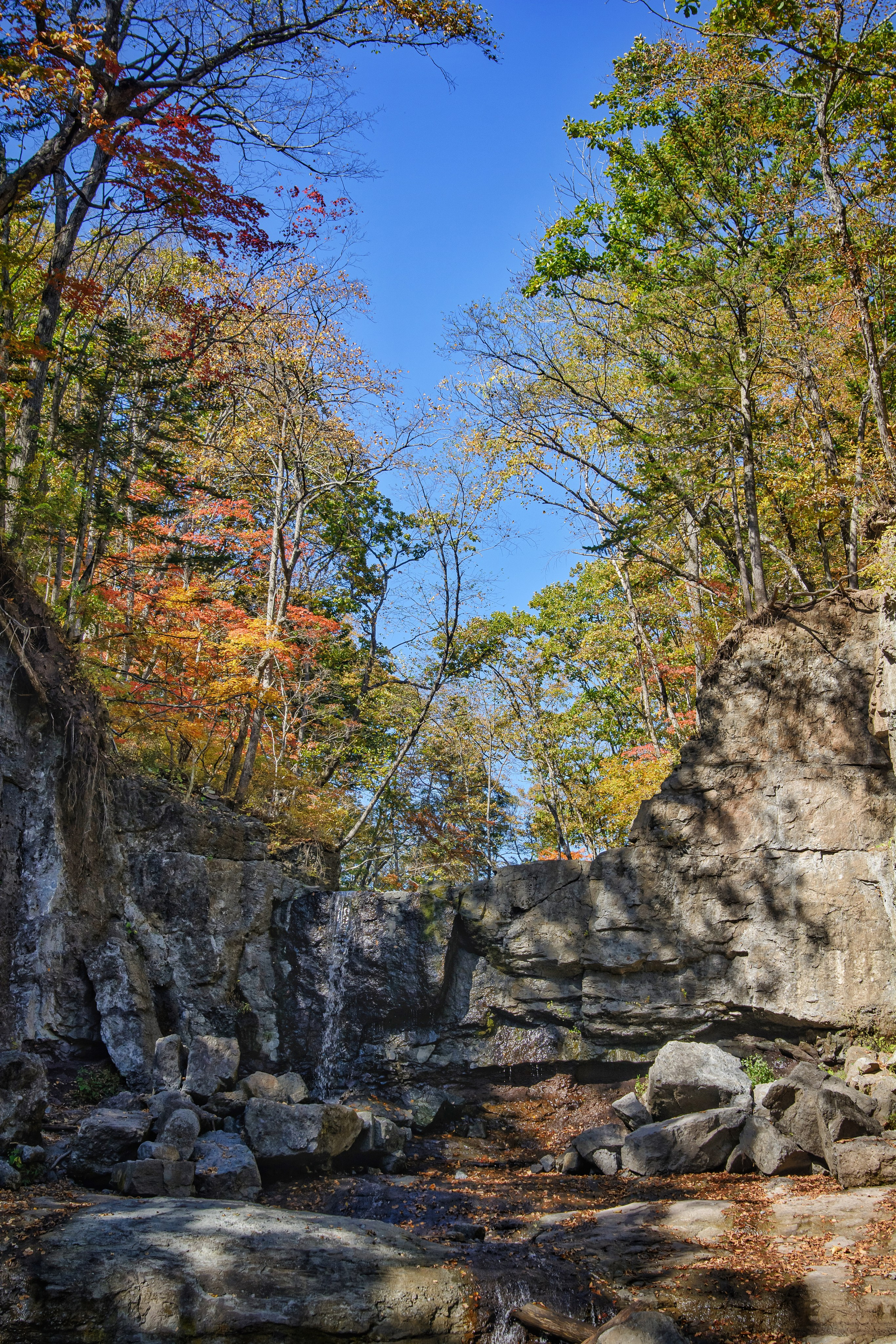 Пейзажи и дикая природа. Пейзажный и репортажный фотограф