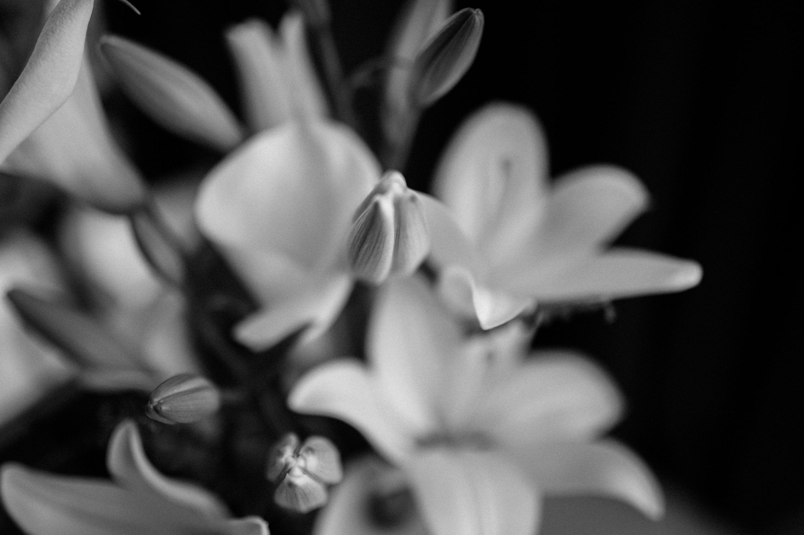 Денис и Кристина. Photographer in Sevastopol, Crimea and Moscow Gorbunov Denis