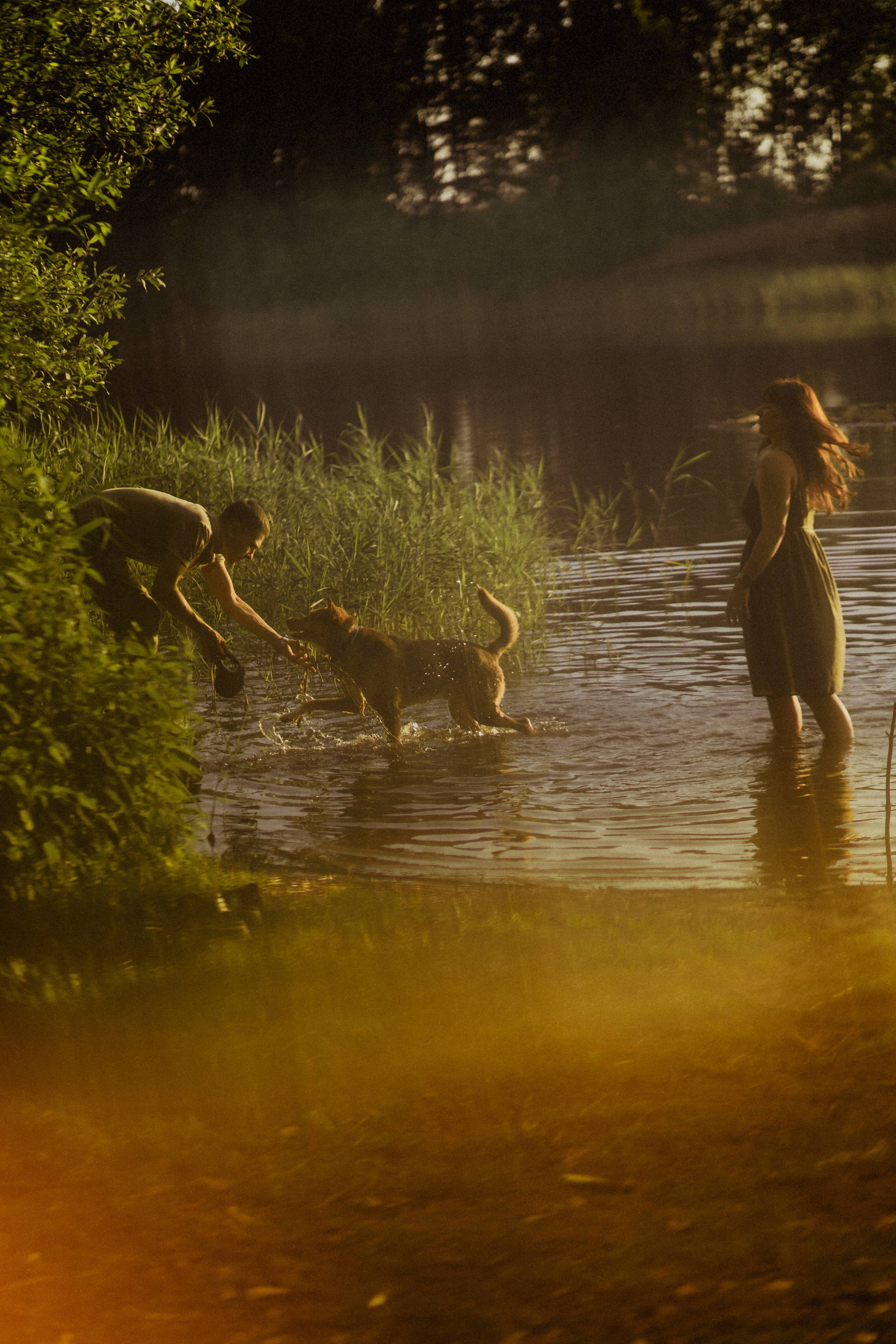 На странных берегах
