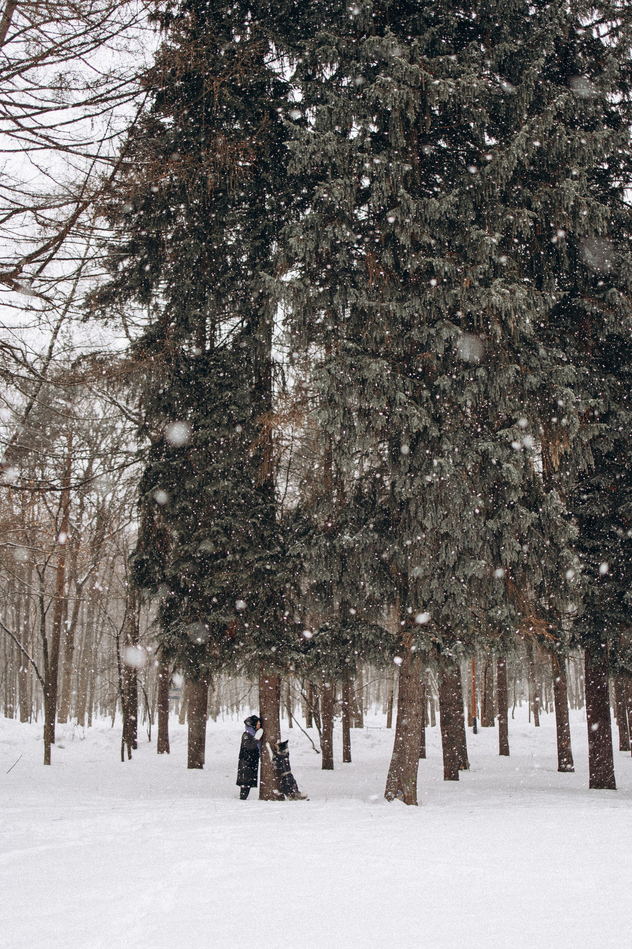 Настя и Тор. Фотораф — анималист Мария Шистка