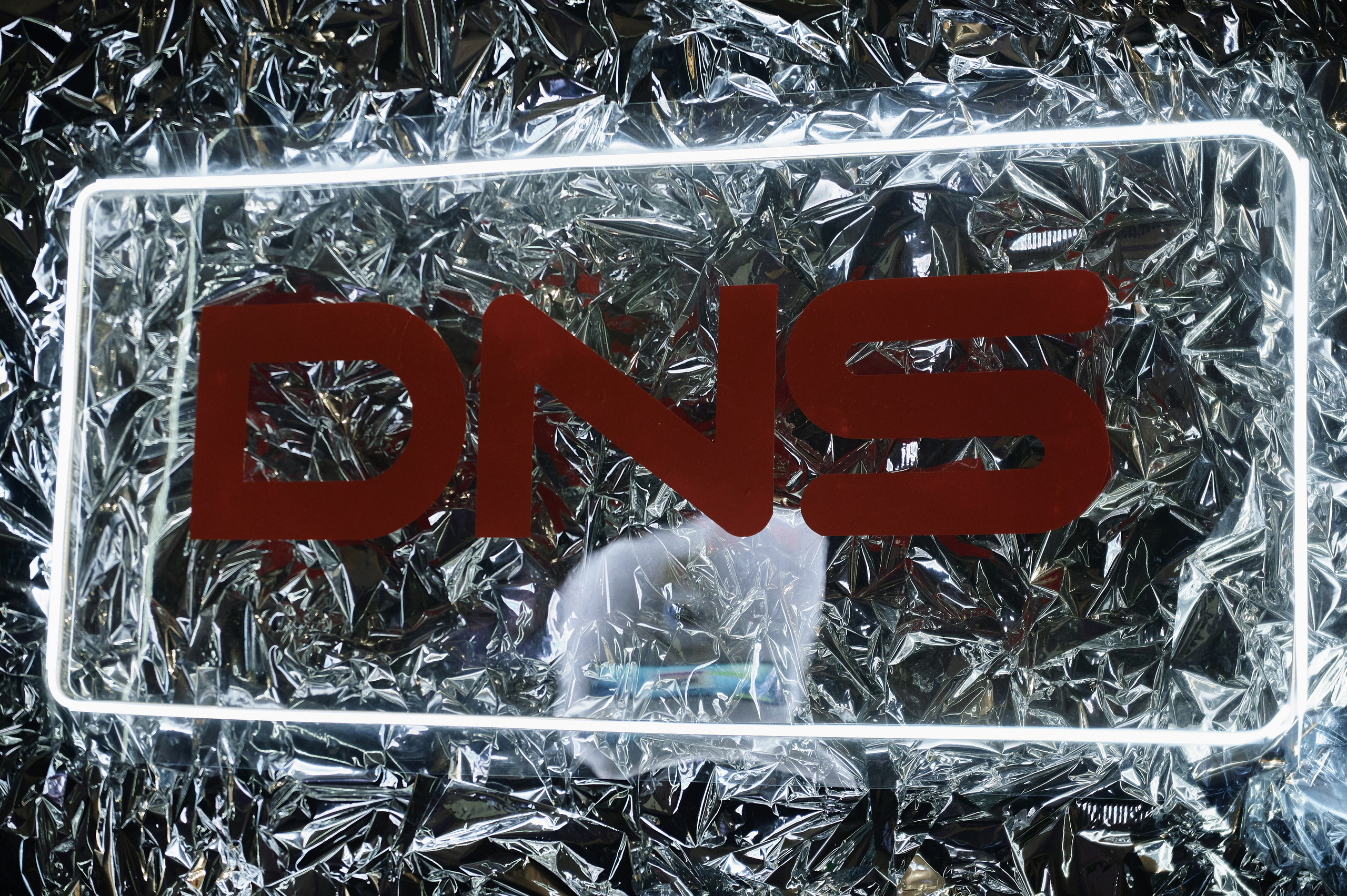 DNS НГ Корпаратив. Свадебный фотограф во Владивостоке Гарагуля Игорь