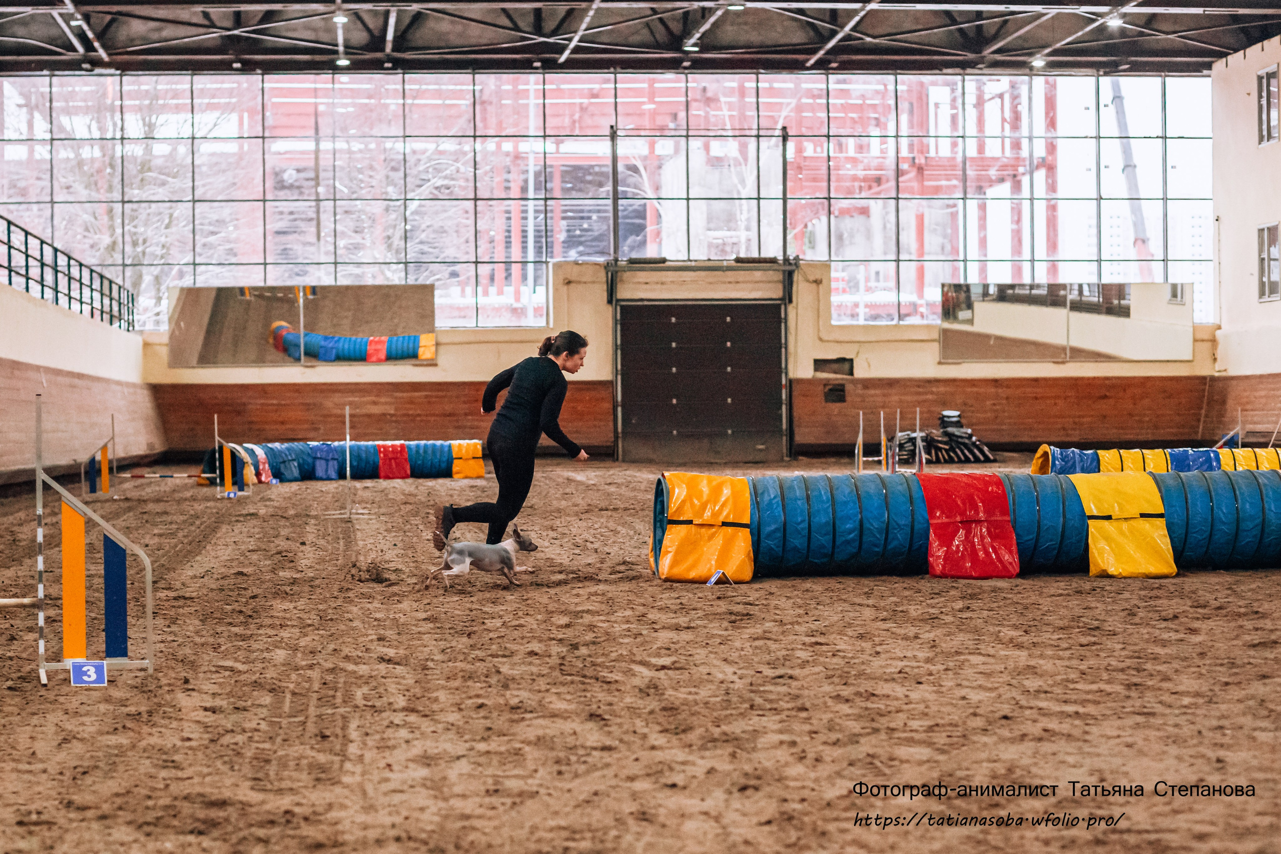 Соревнования по Аджилити 25.02.2024. Фотограф-анималист Татьяна Степанова