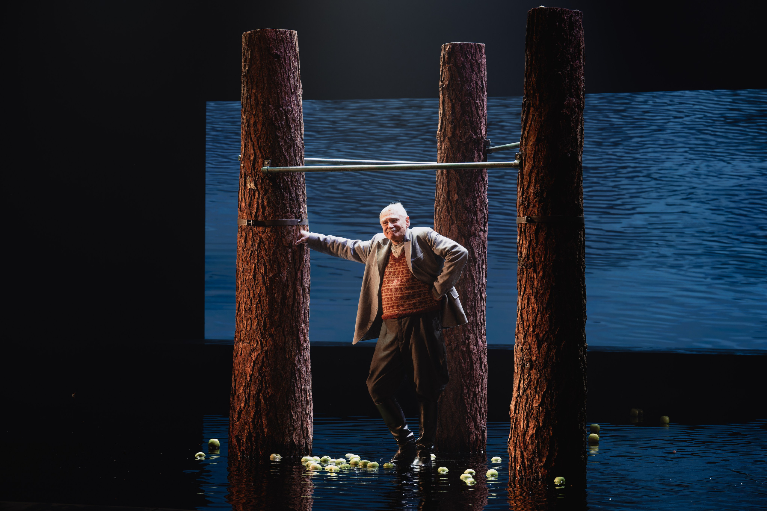 Театр Маяковского: Лес. Сайт фотографа Сергея Абрамова