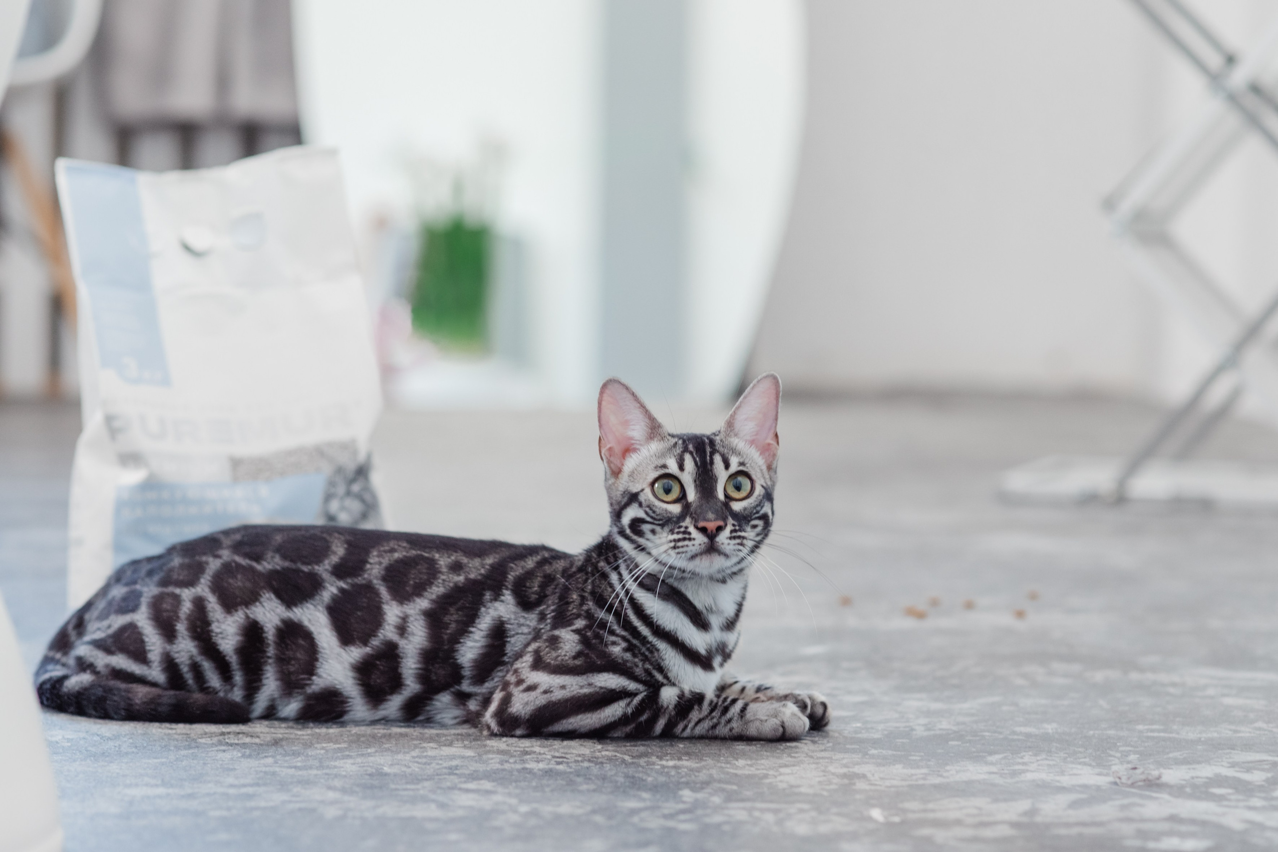 Рекламное фото. Люксмедиа — это команда фотографов и видеографов. Город Казань. Дамир Сафин