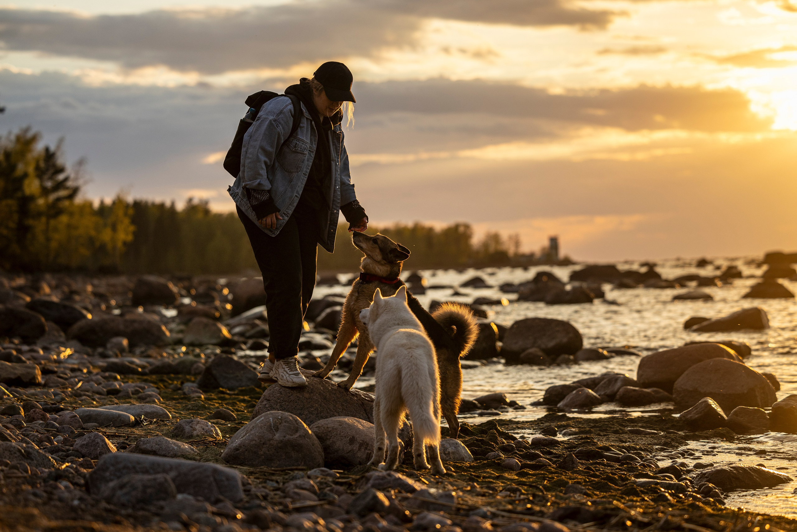 Ричард залив. Фотограф-анималист Анна Маринич