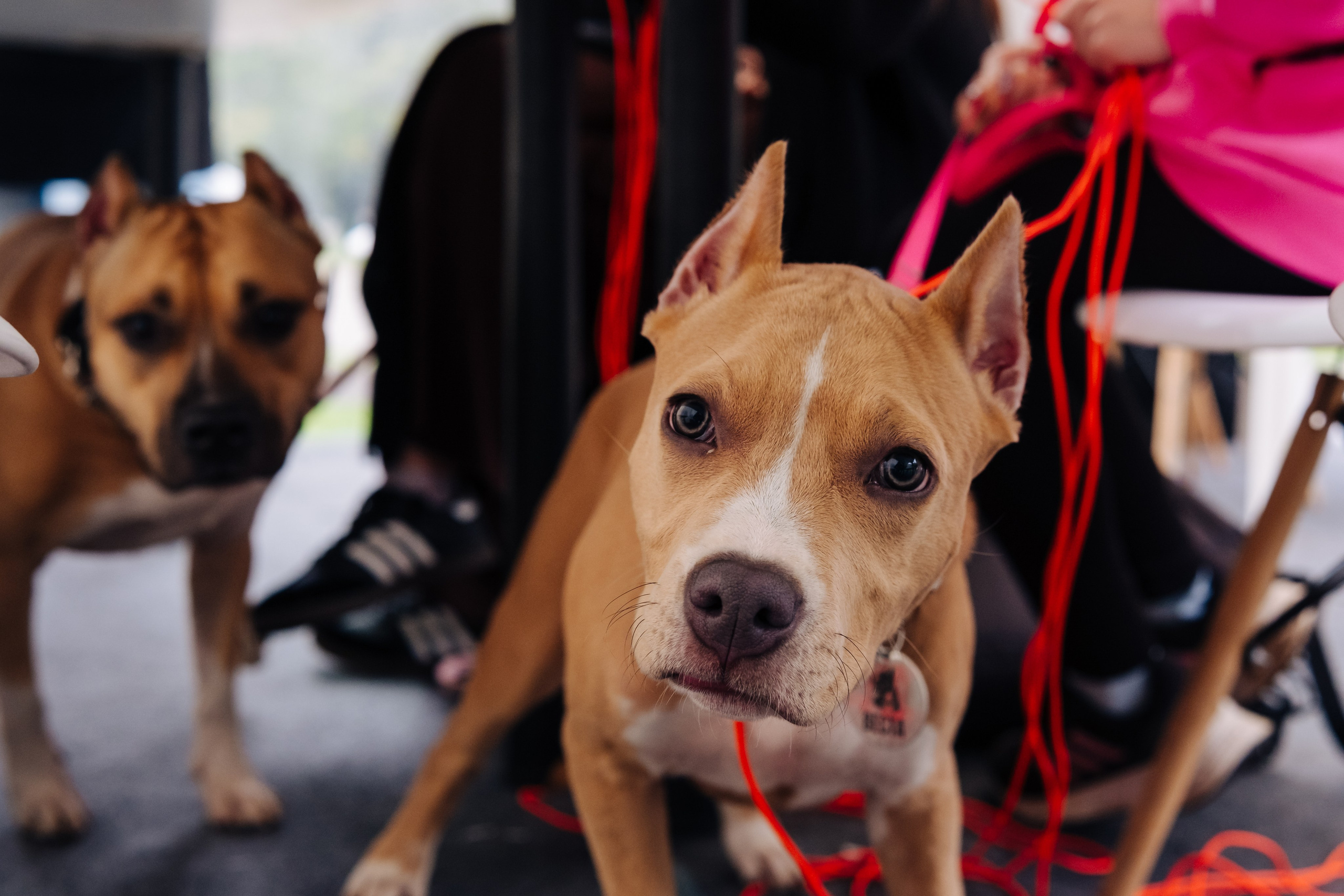 Молодёжная политика. Сайт фотографа Дмитрия Батенёва