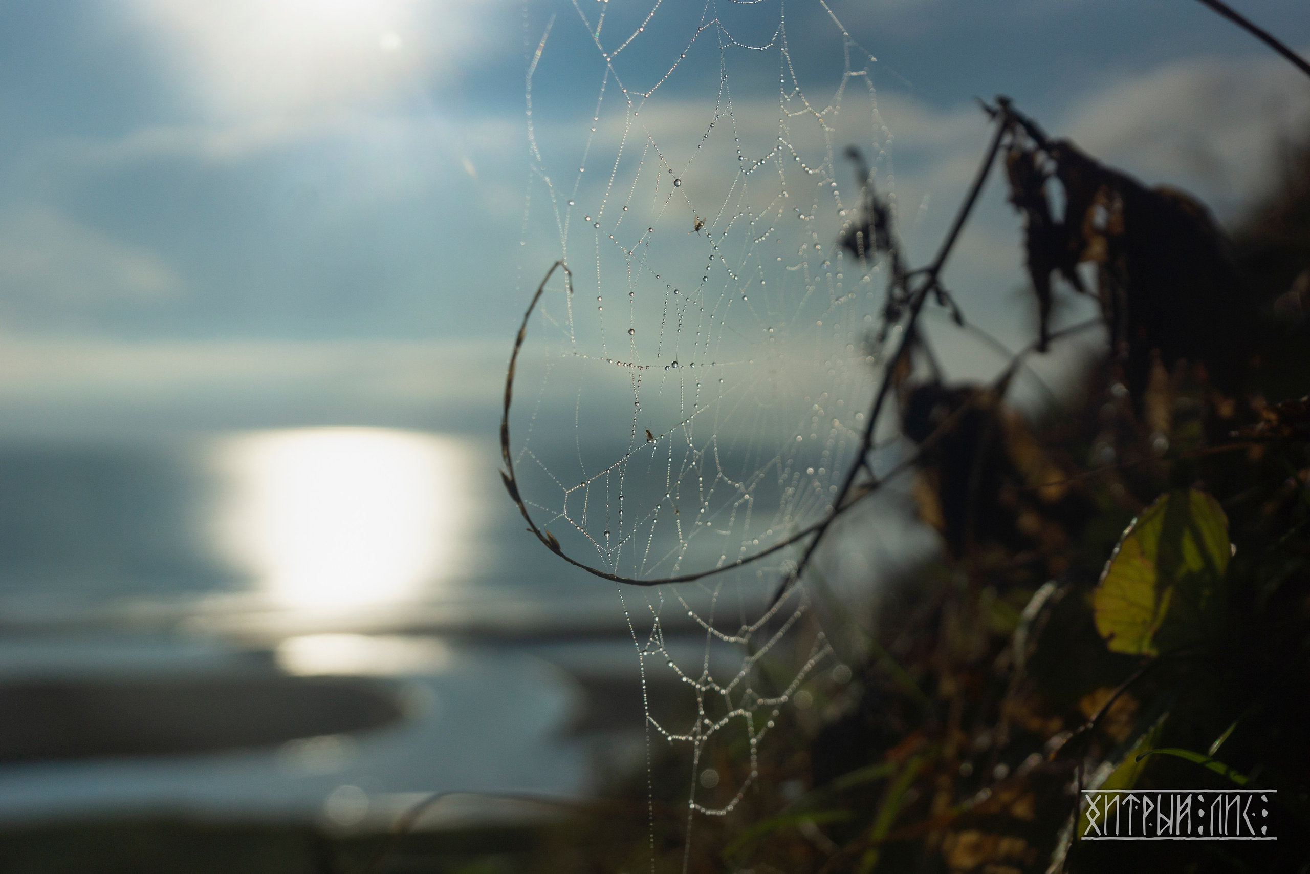 Сахалин. Фотограф-путешественник Самойлов Максим «Sly Fox»