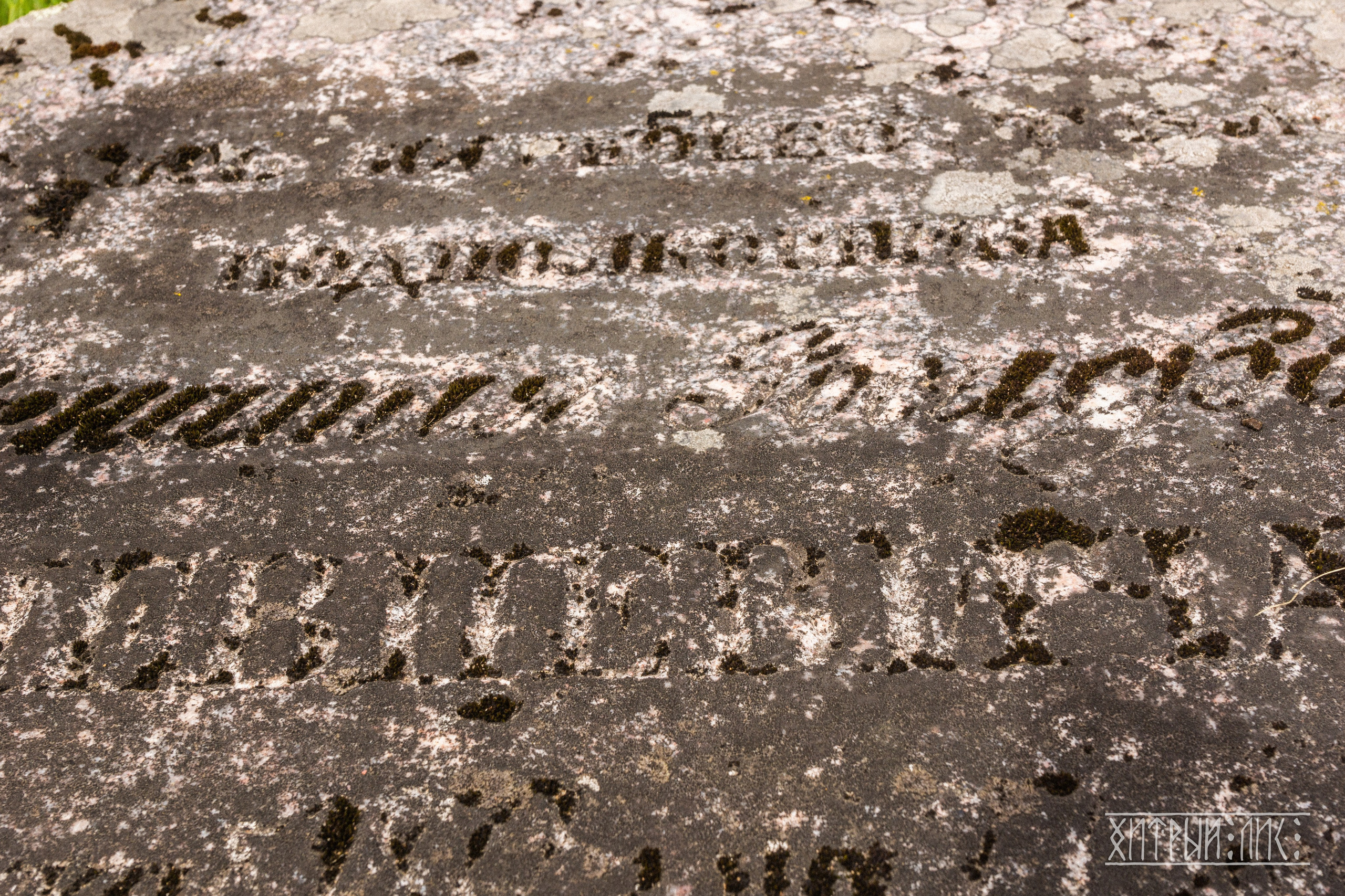 Беларусь. Фотограф-путешественник Самойлов Максим «Sly Fox»