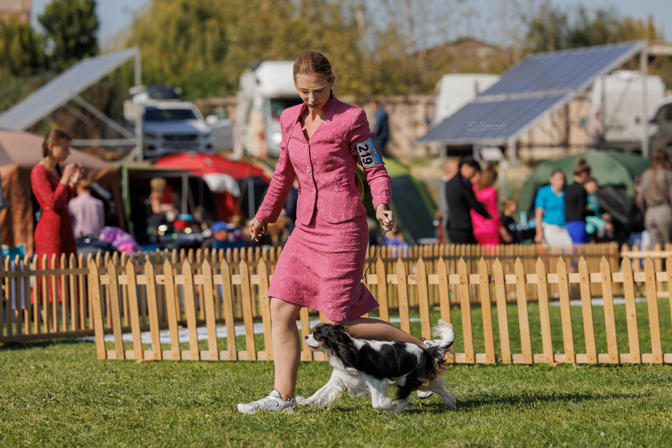 Ереван 14-16.10.2025. Фотограф-анималист Юлия Германика