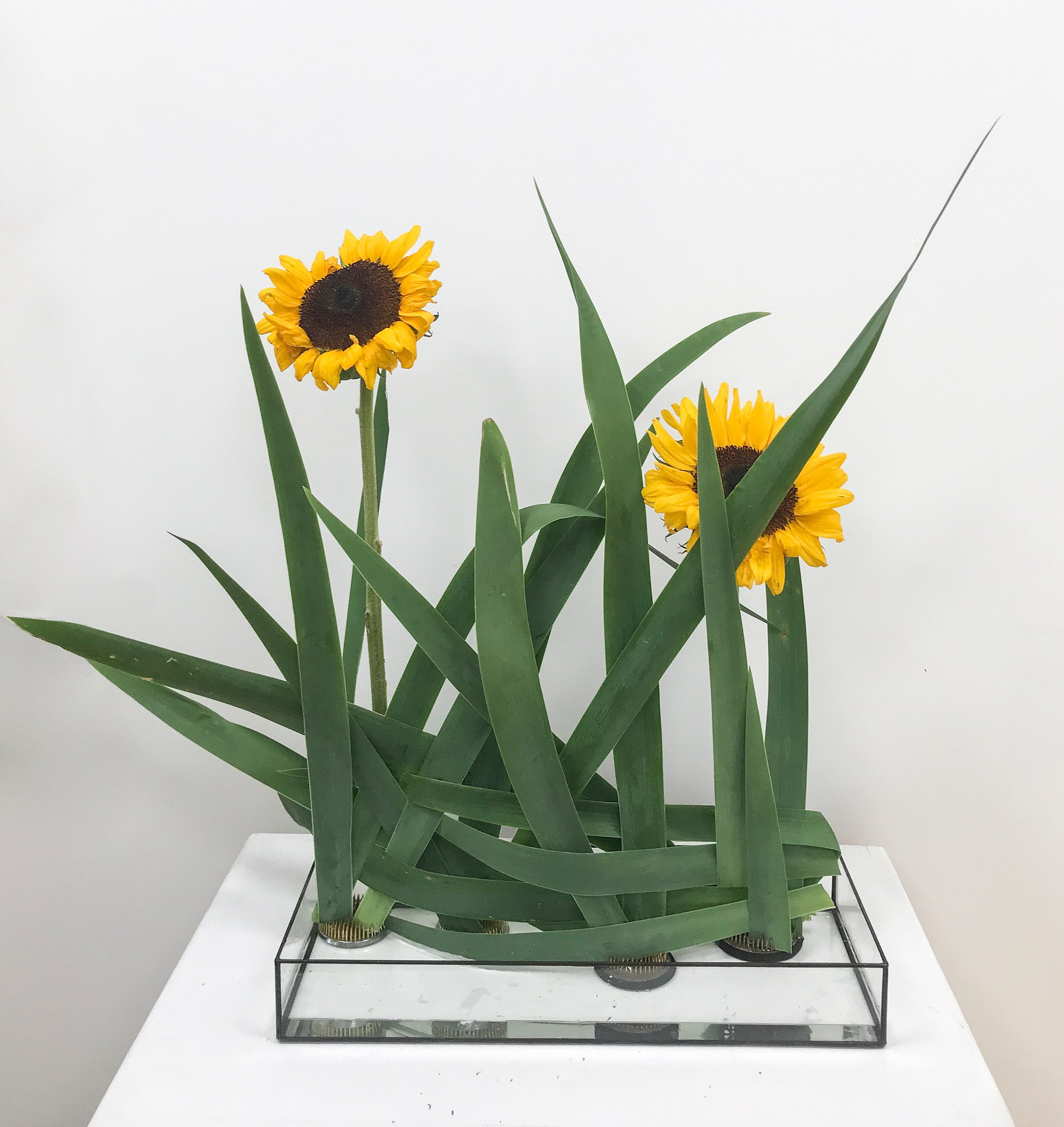 Икэбана Барне. Фотограф Анна Барне