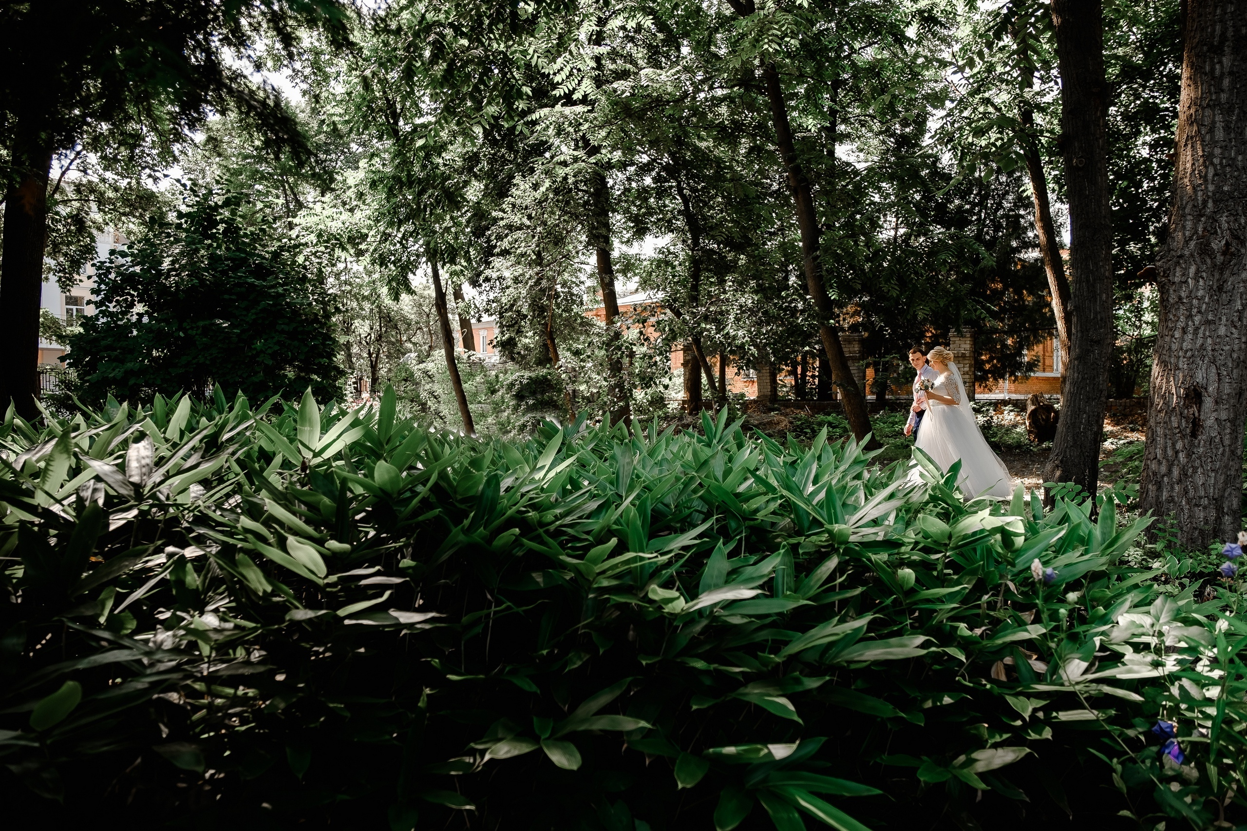 28.07.2018 Михаил и Екатерина. Свадебный и семейный фотограф Вадим Великоиваненко