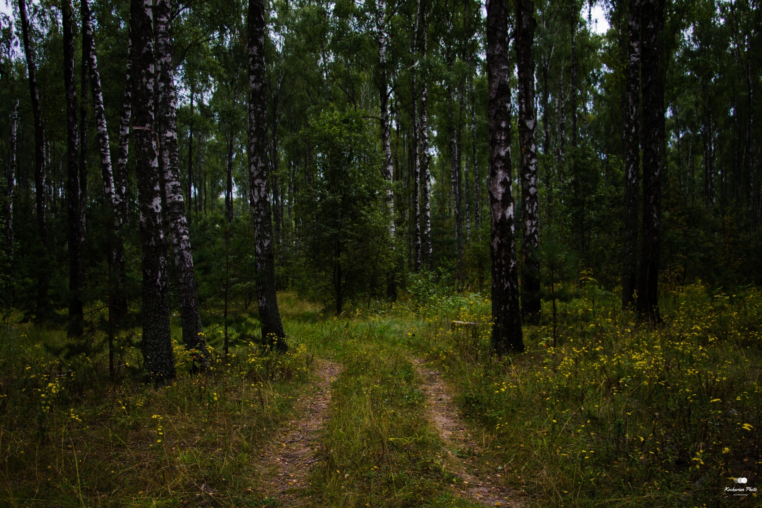 Пейзажи и природа. Photographer K.A.D