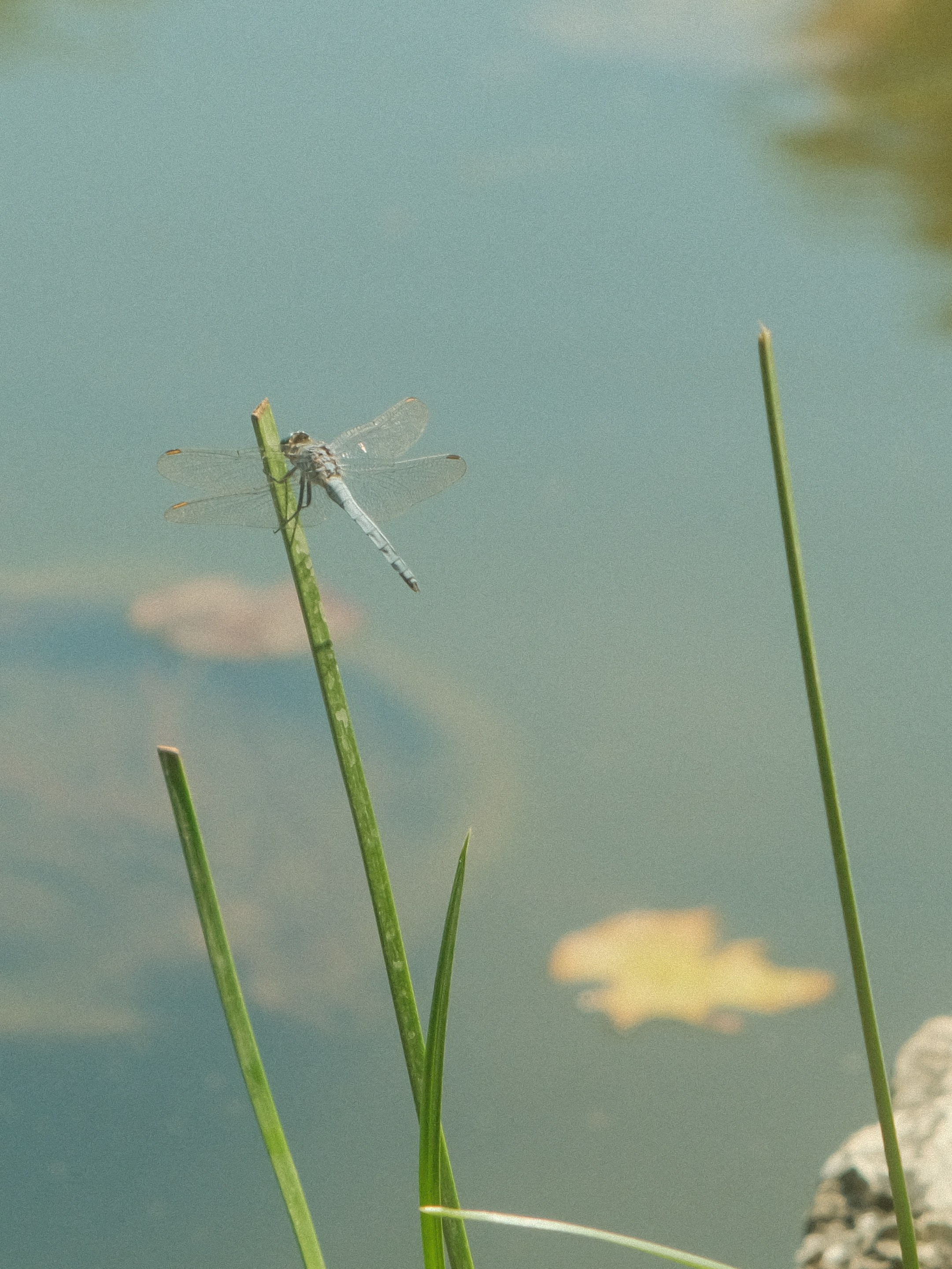 Крым. Фотограф в Зеленограде Егор Дронов
