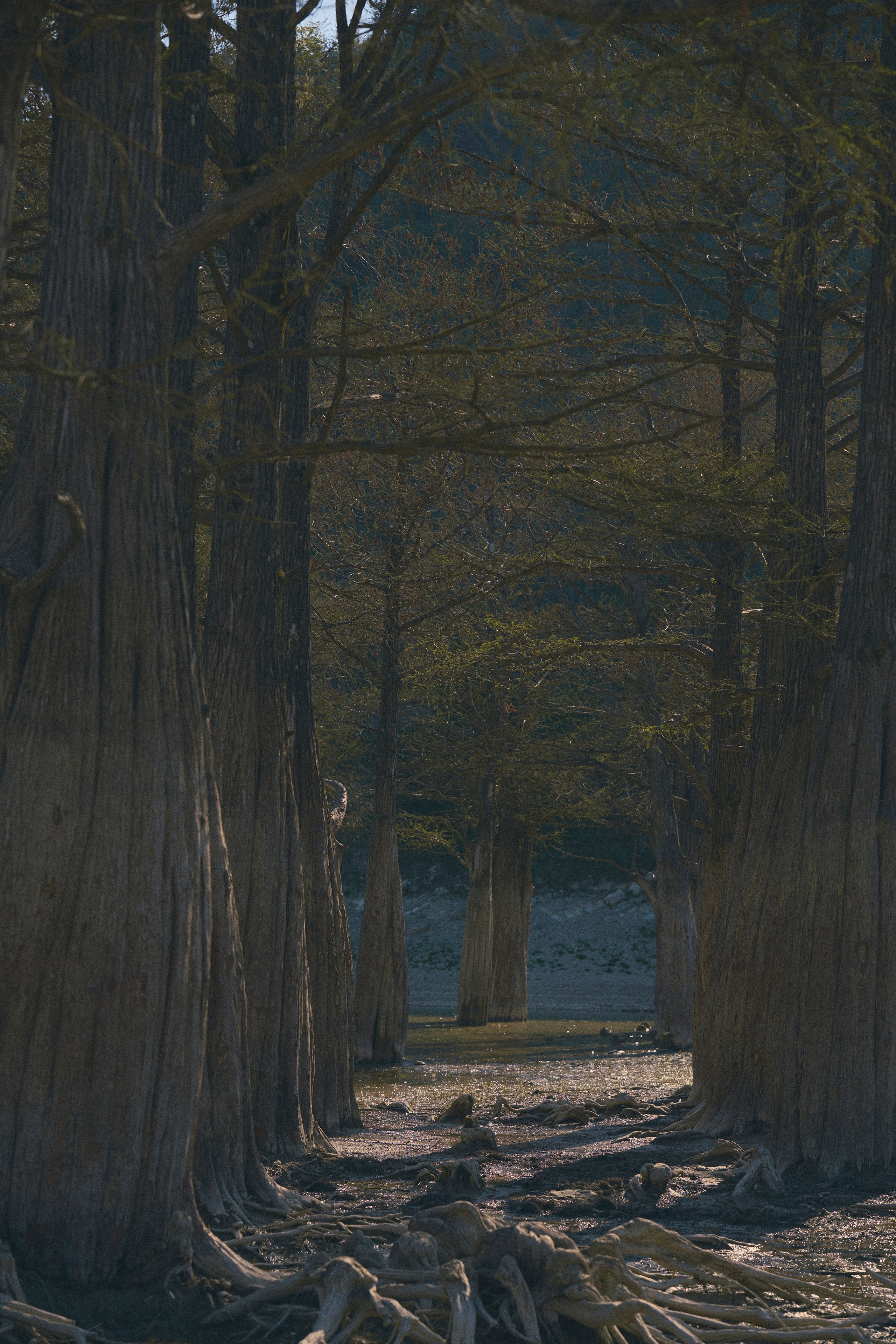 Krasnodar. Гасанова Алина|Фотограф в Санкт-Петербурге