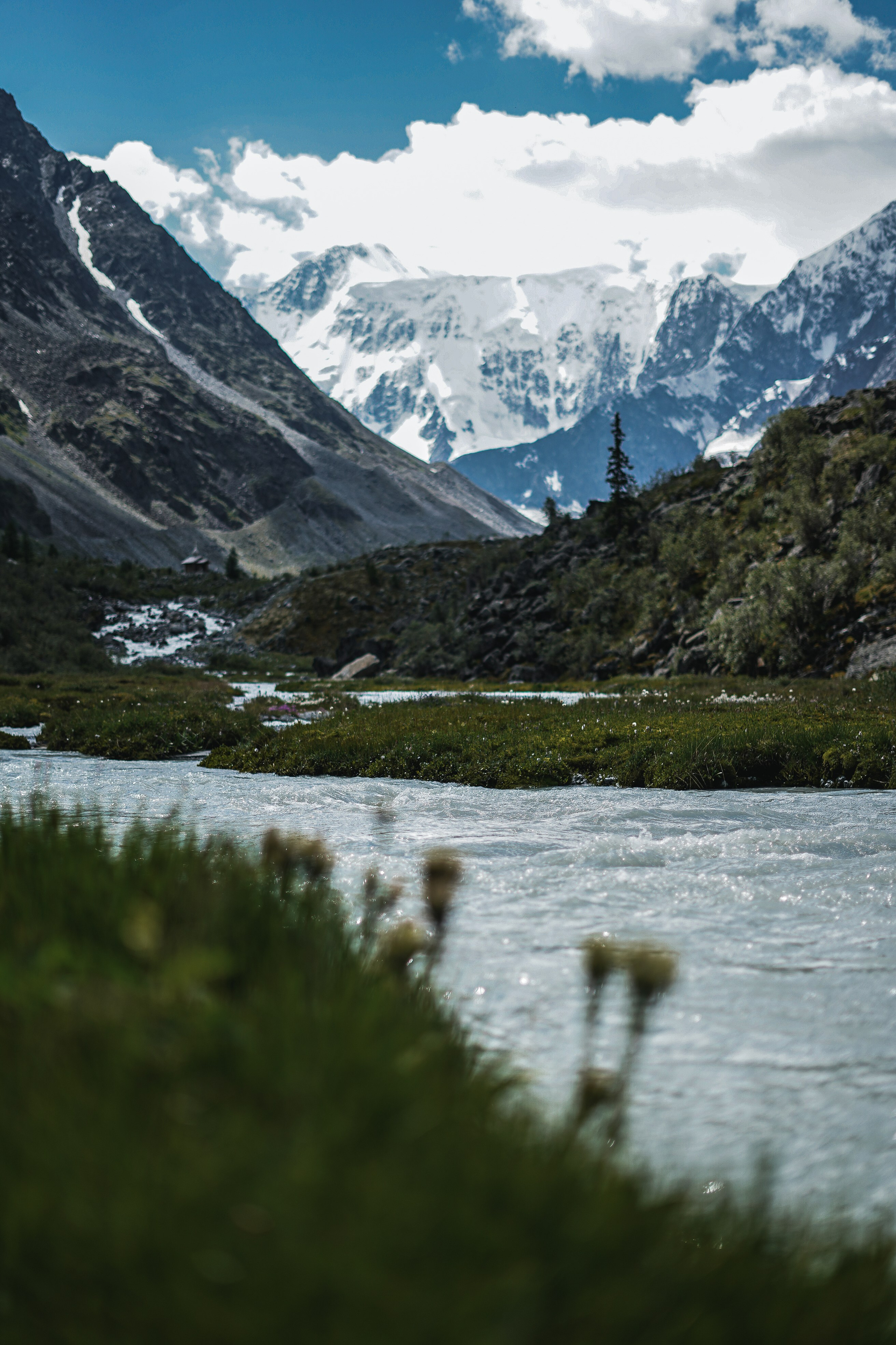 Алтай, поход к Белухе 2023. Фотограф Ольга Пучкова