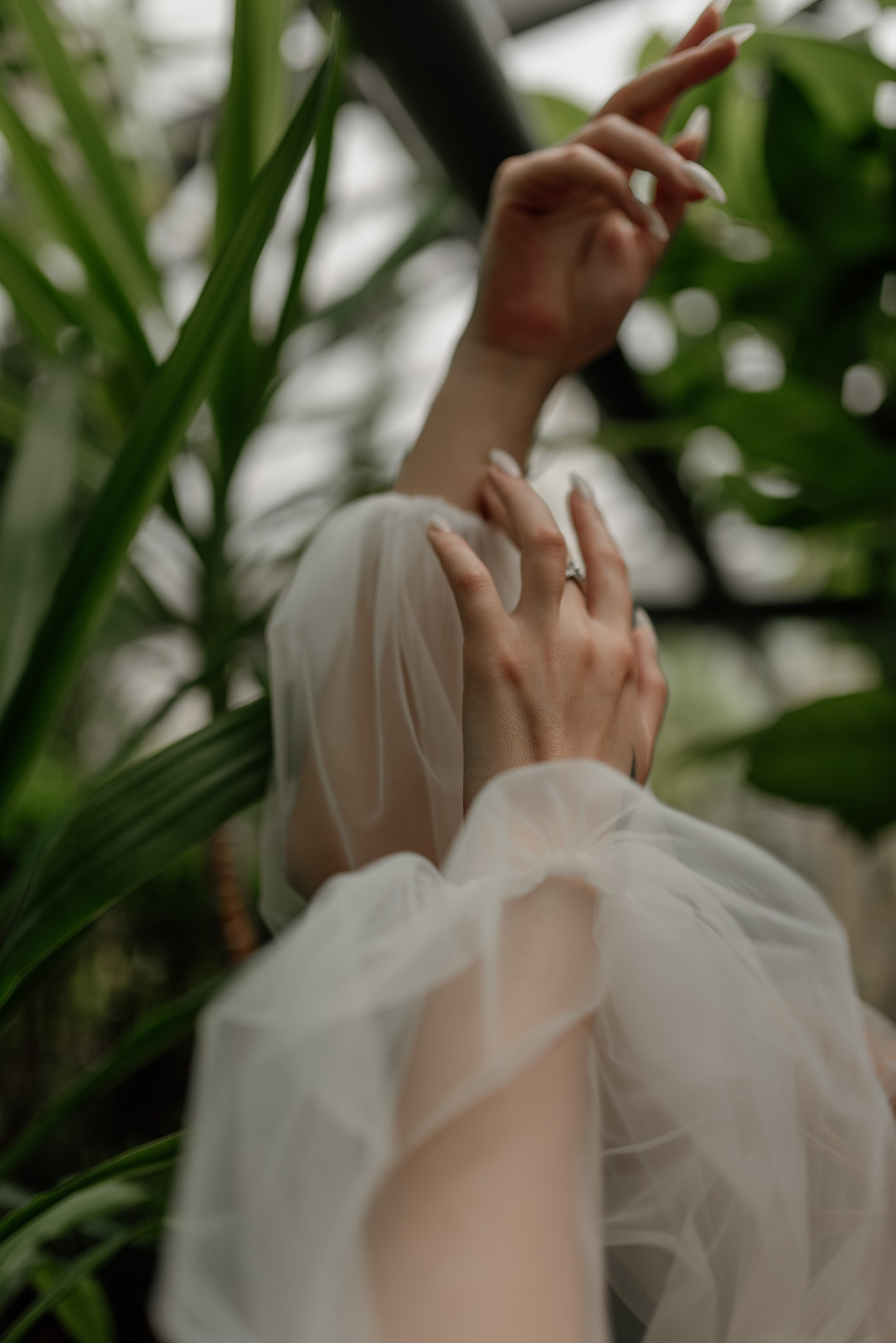 V&N. Свадебный и Семейный фотограф в Ярославле Алёна Колясникова