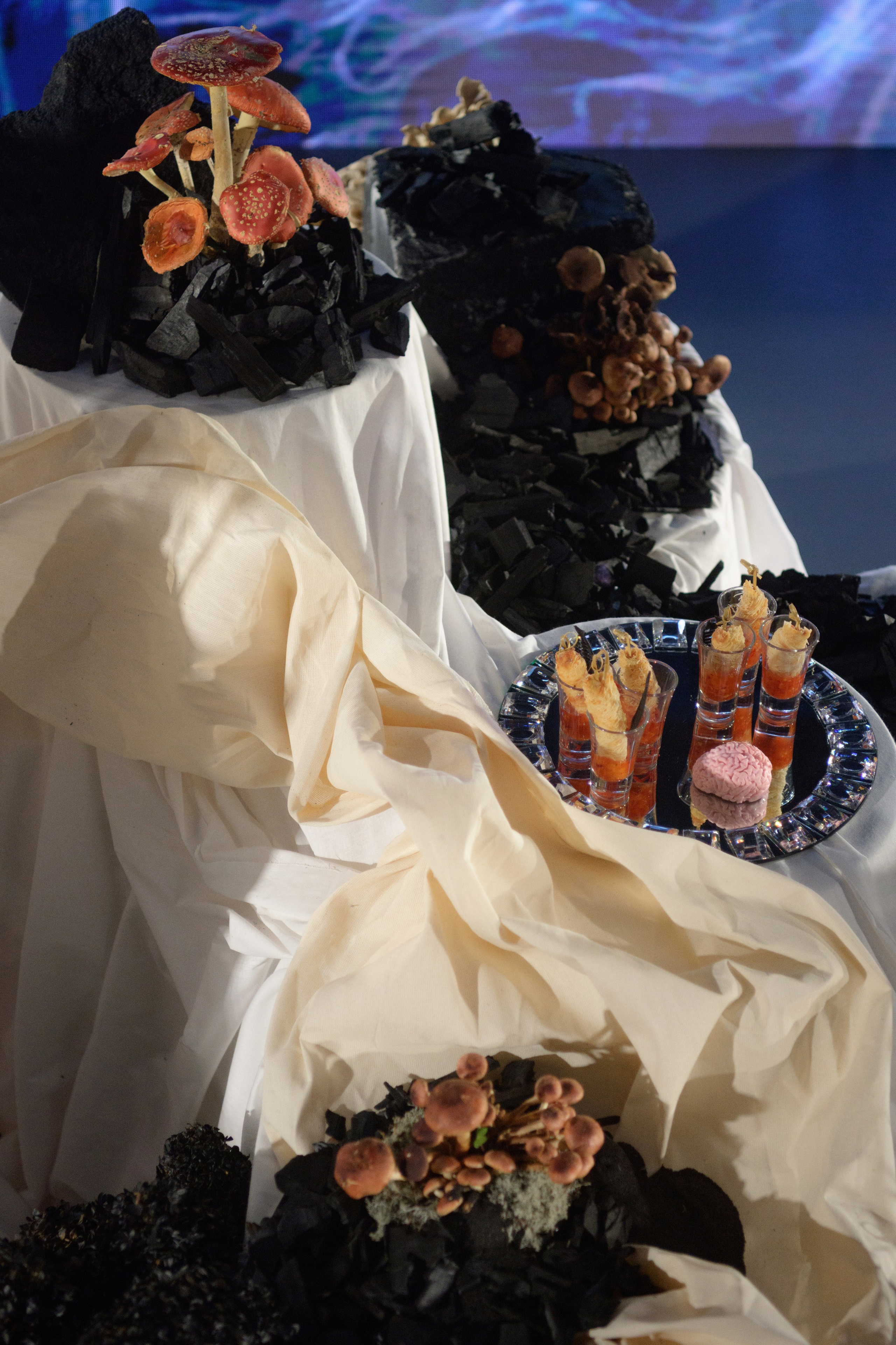 Decor by Favorite catering. Свадебный фотограф в Минске