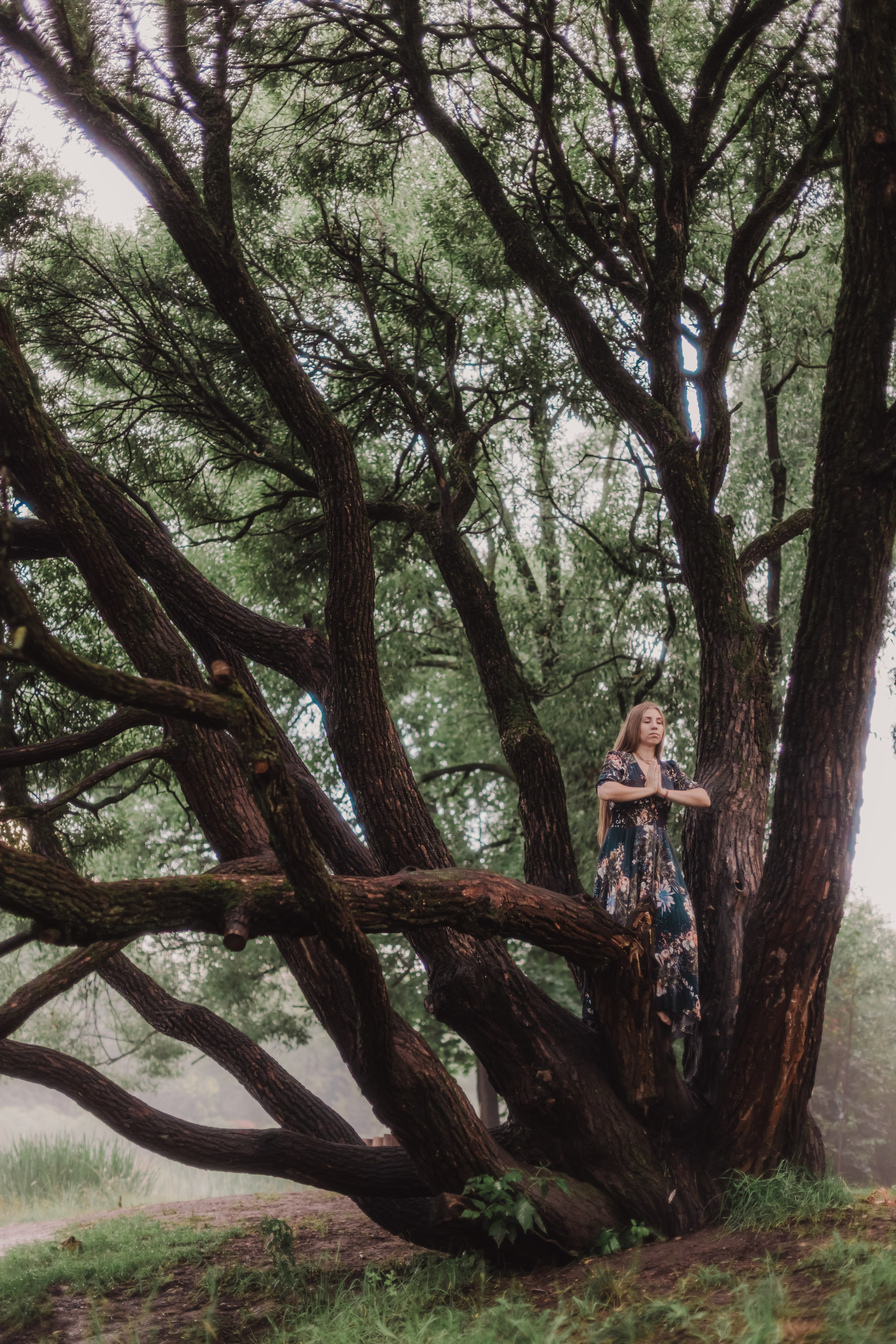 Магия леса. Мариам Багдасарян