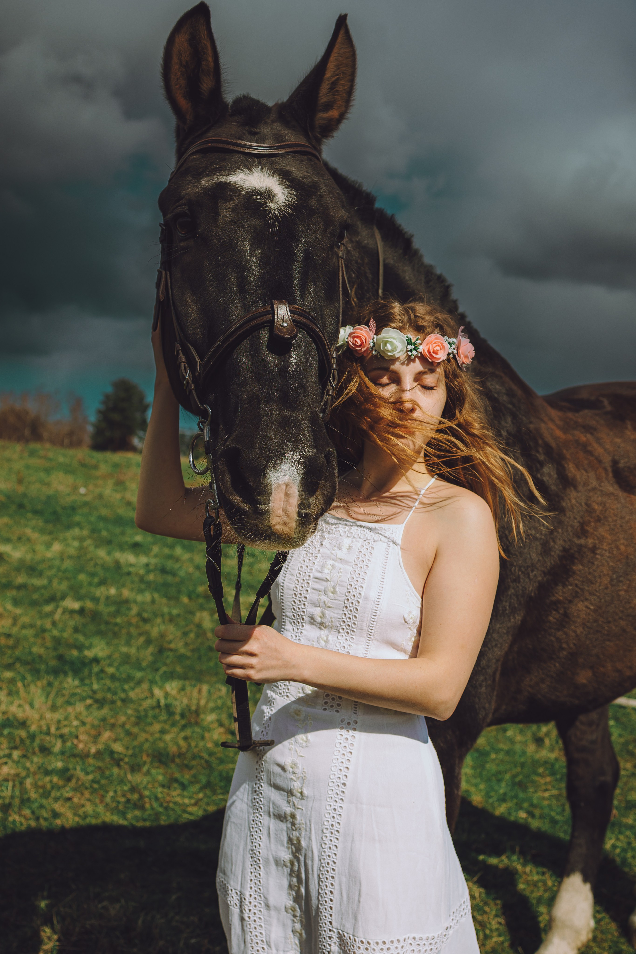 Курсы на фотографа-анималиста