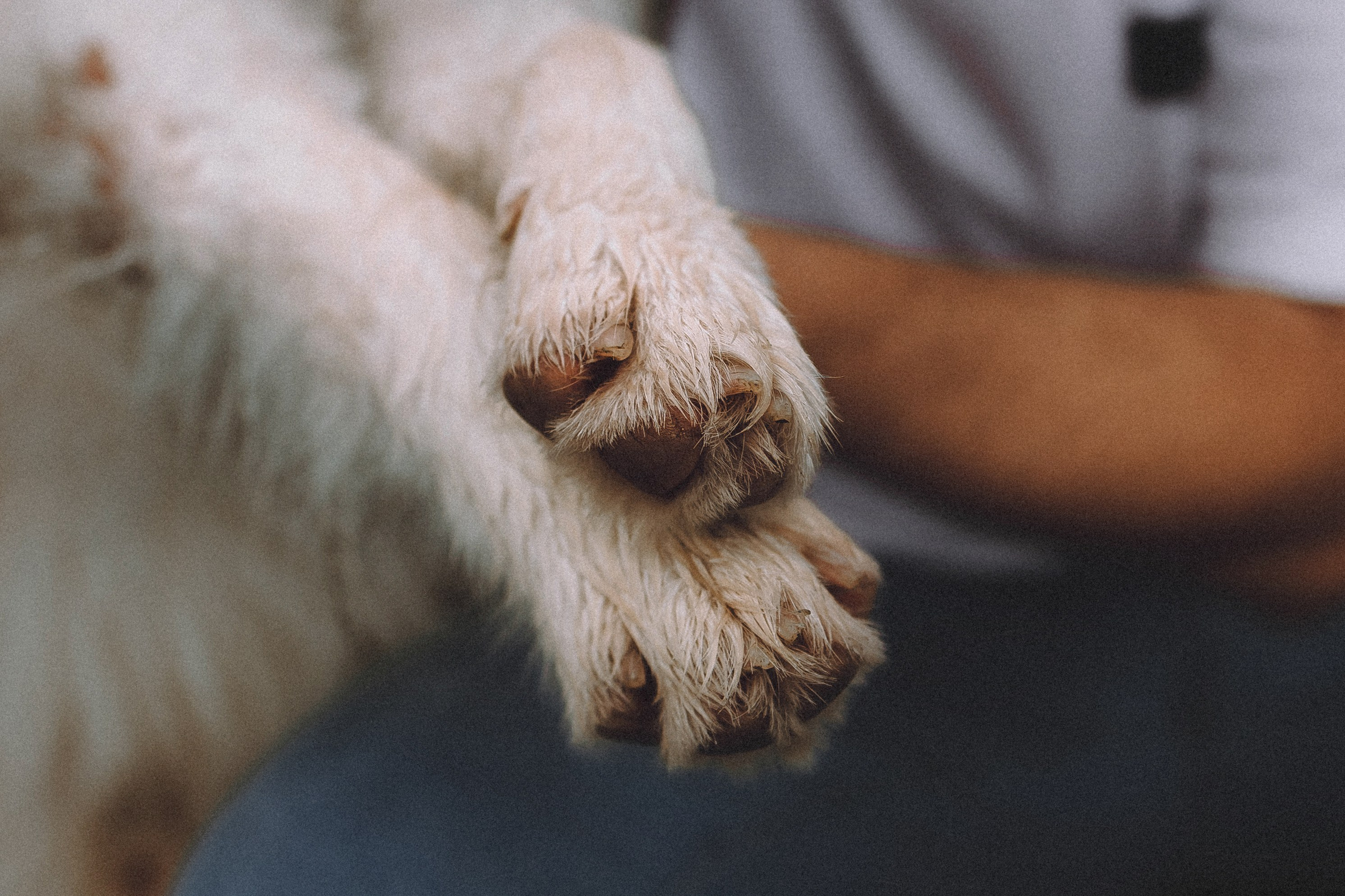 Один и его семья