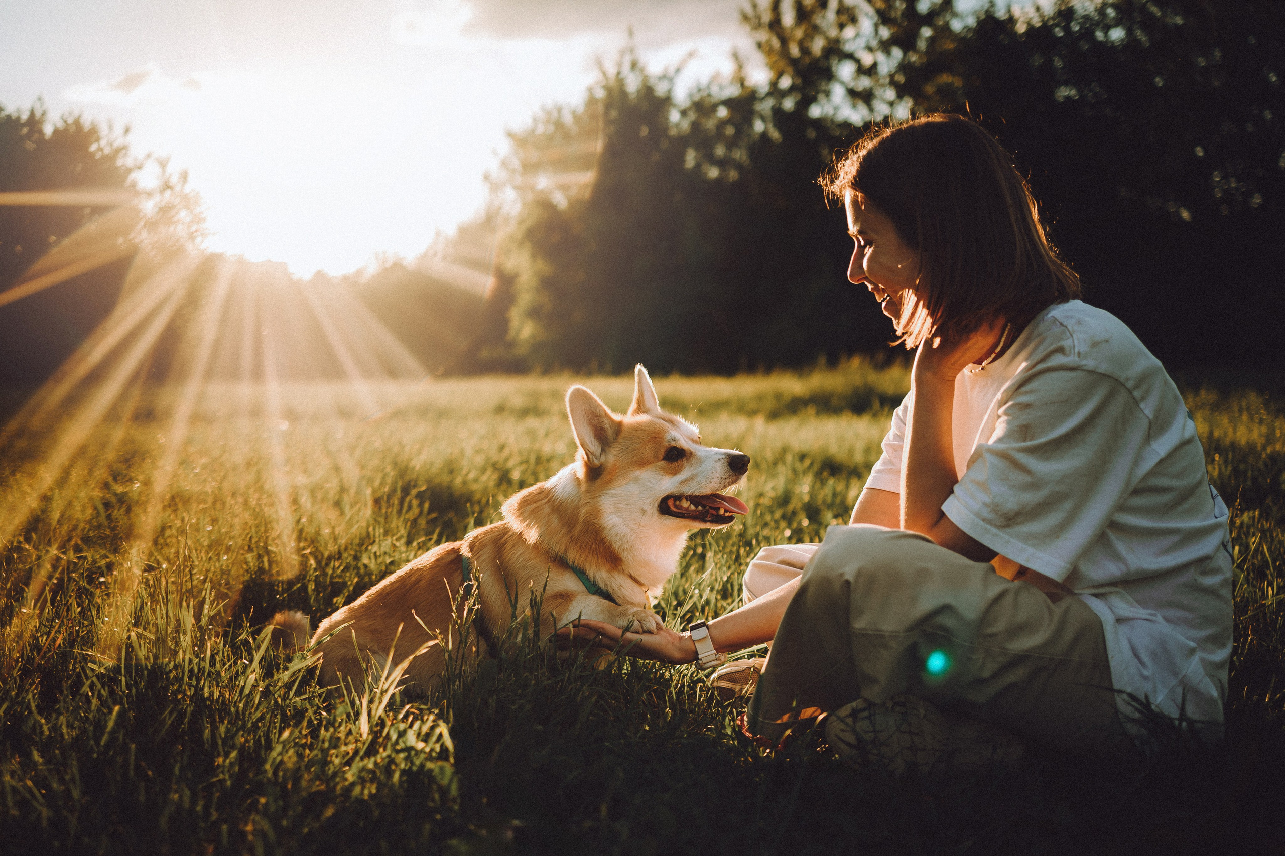 Вирджик и его семья