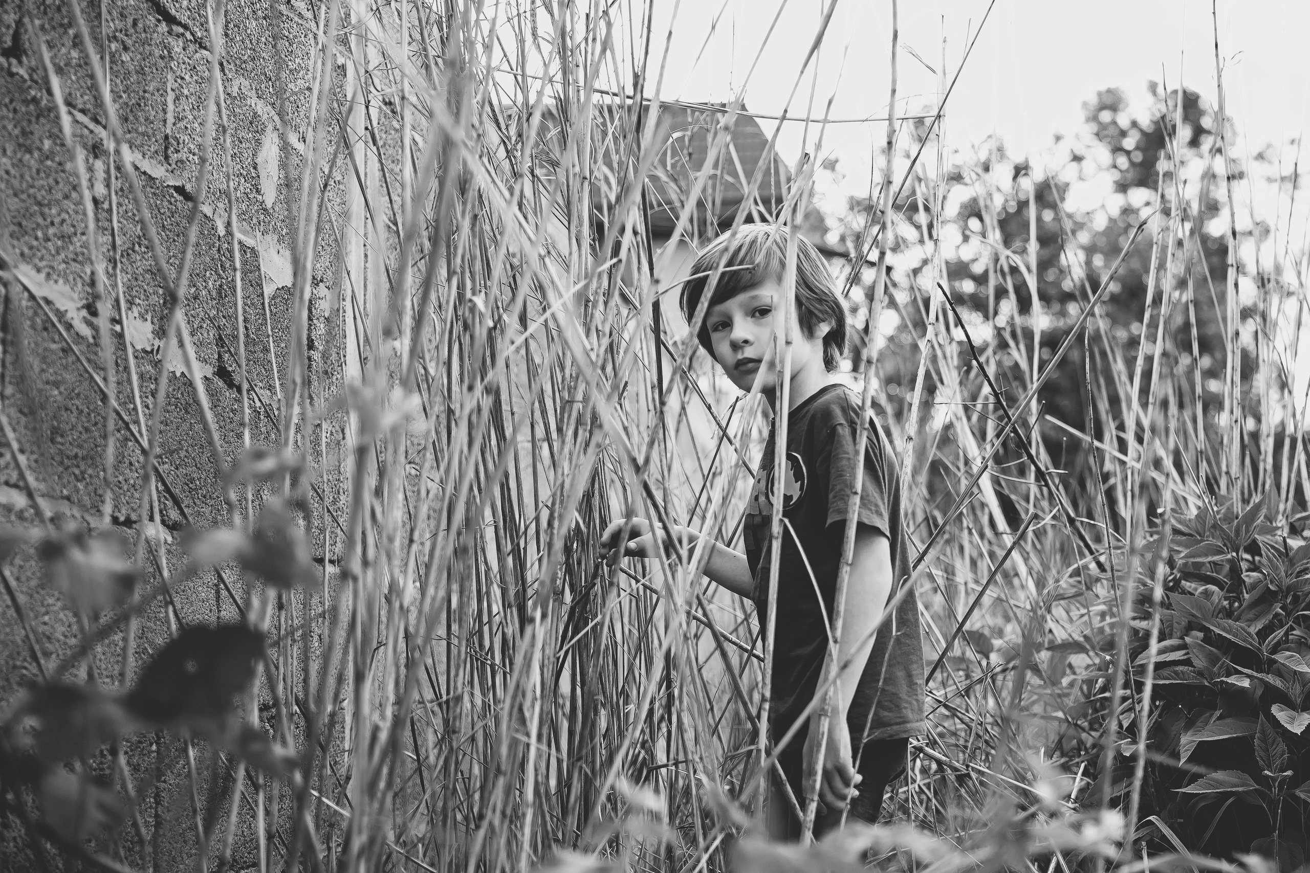 Тарас. Май 2025. Свадебный и семейный фотограф Колоскова Мария (Сочи и весь мир)