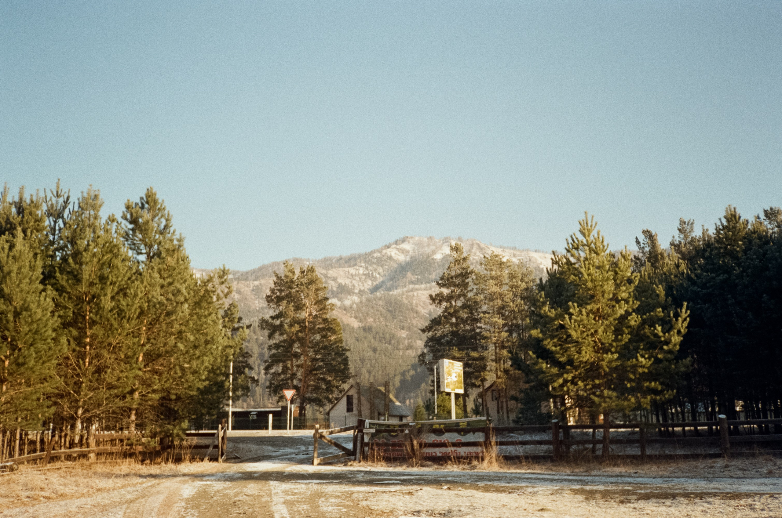 Дорога до Coffee Bus по Чемальскому тракту и Кедровый остров. Фотограф-документалист Мария Осокина