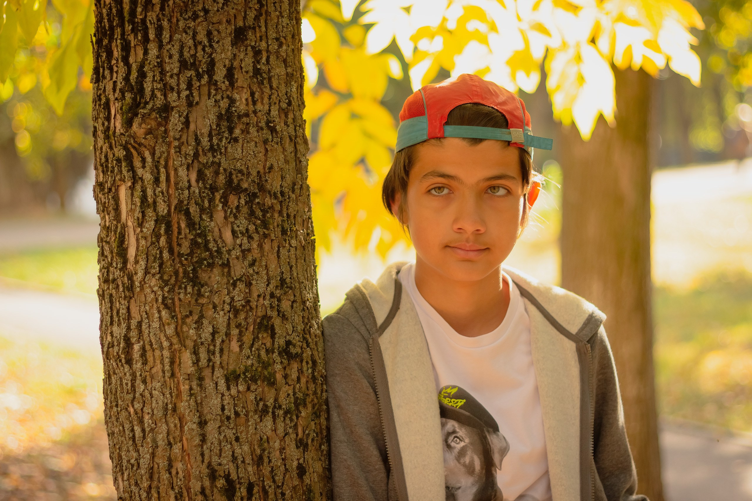 Свет проникает в сердце. Аmat Victoria Сuram