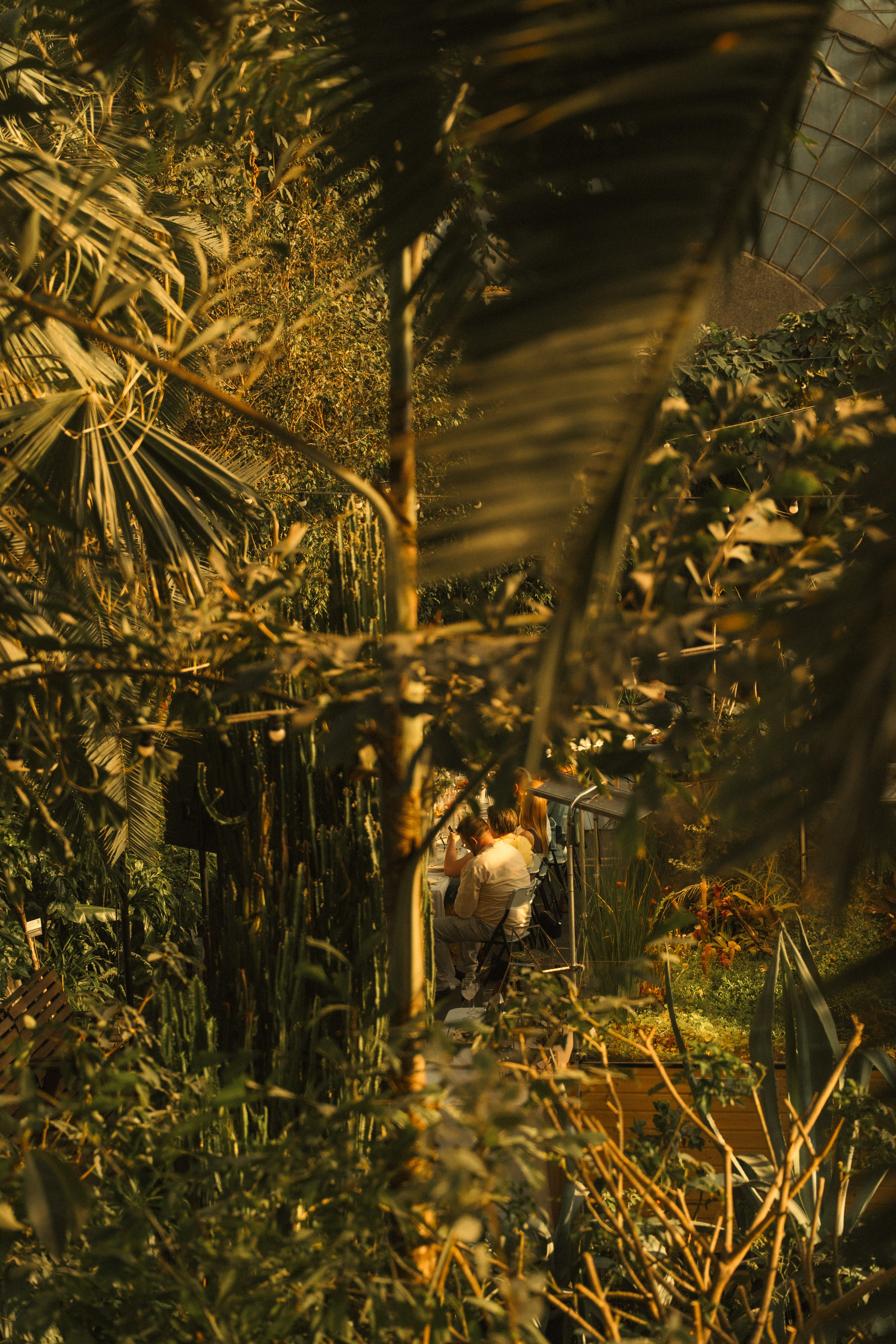 Свадьба Веры и Романа