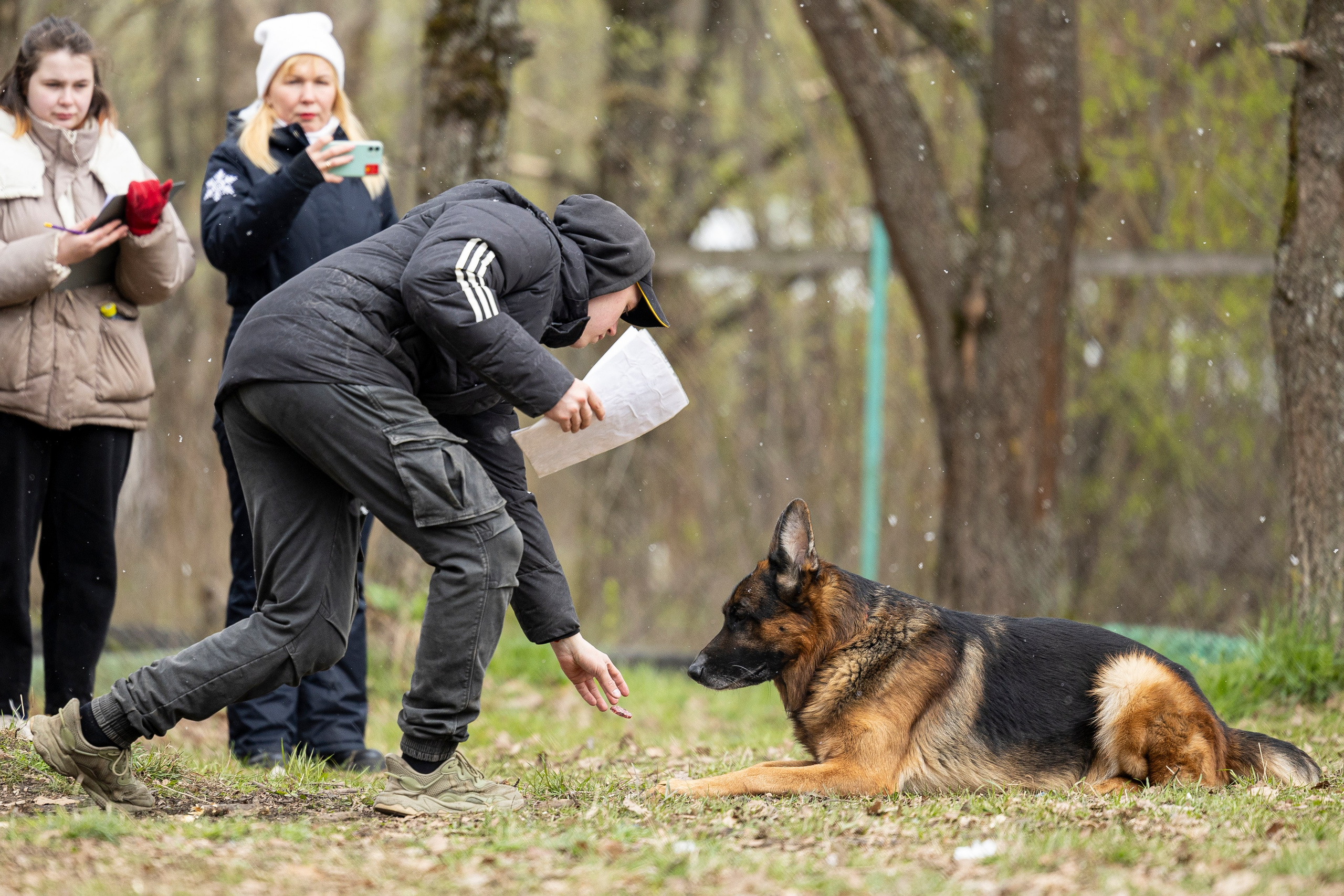 Квалификационные состязания по мондьорингу г. Вологда 11.05.24. Фотограф-анималист Анна Маринич