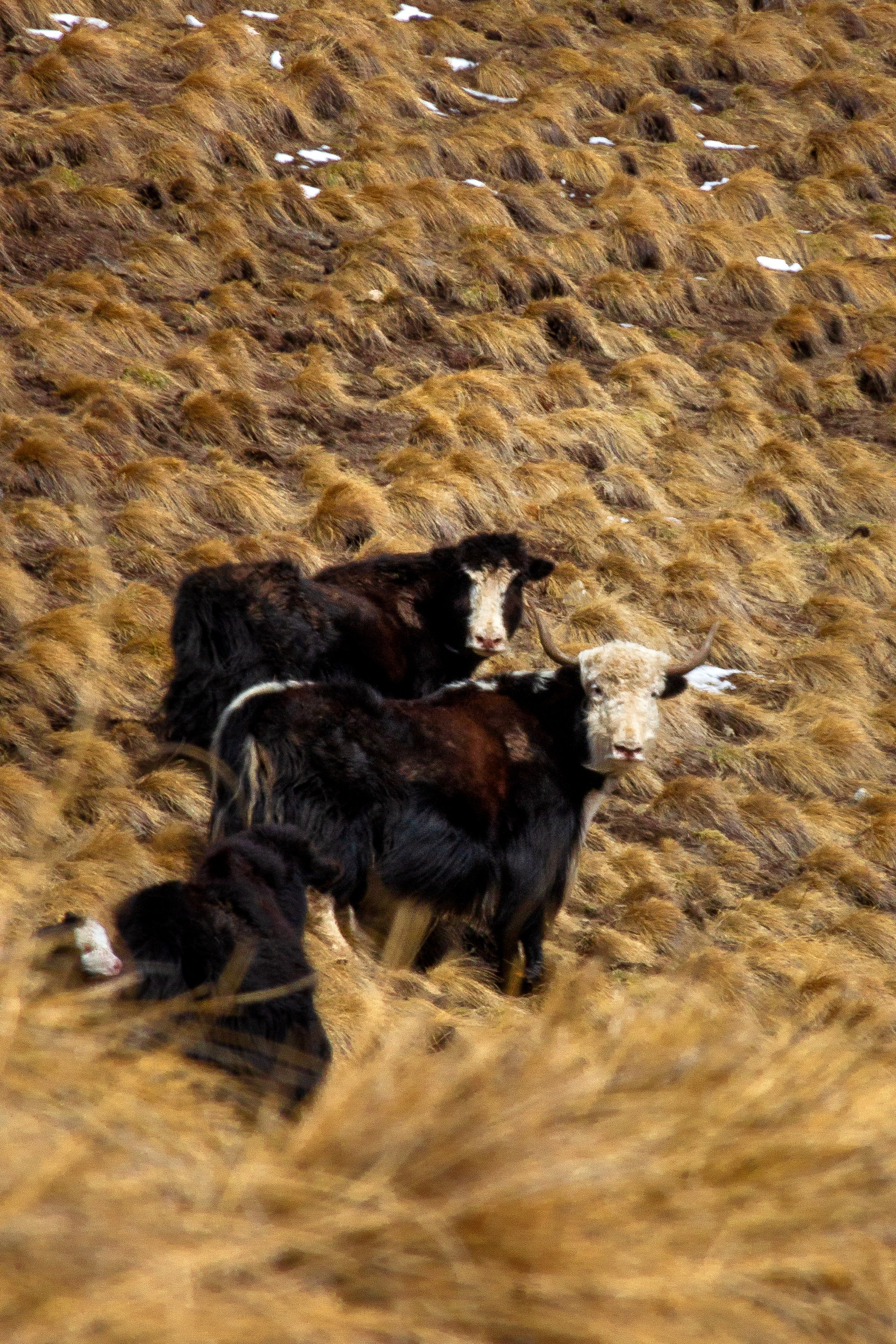 Природа. Фотограф Котий Даниил