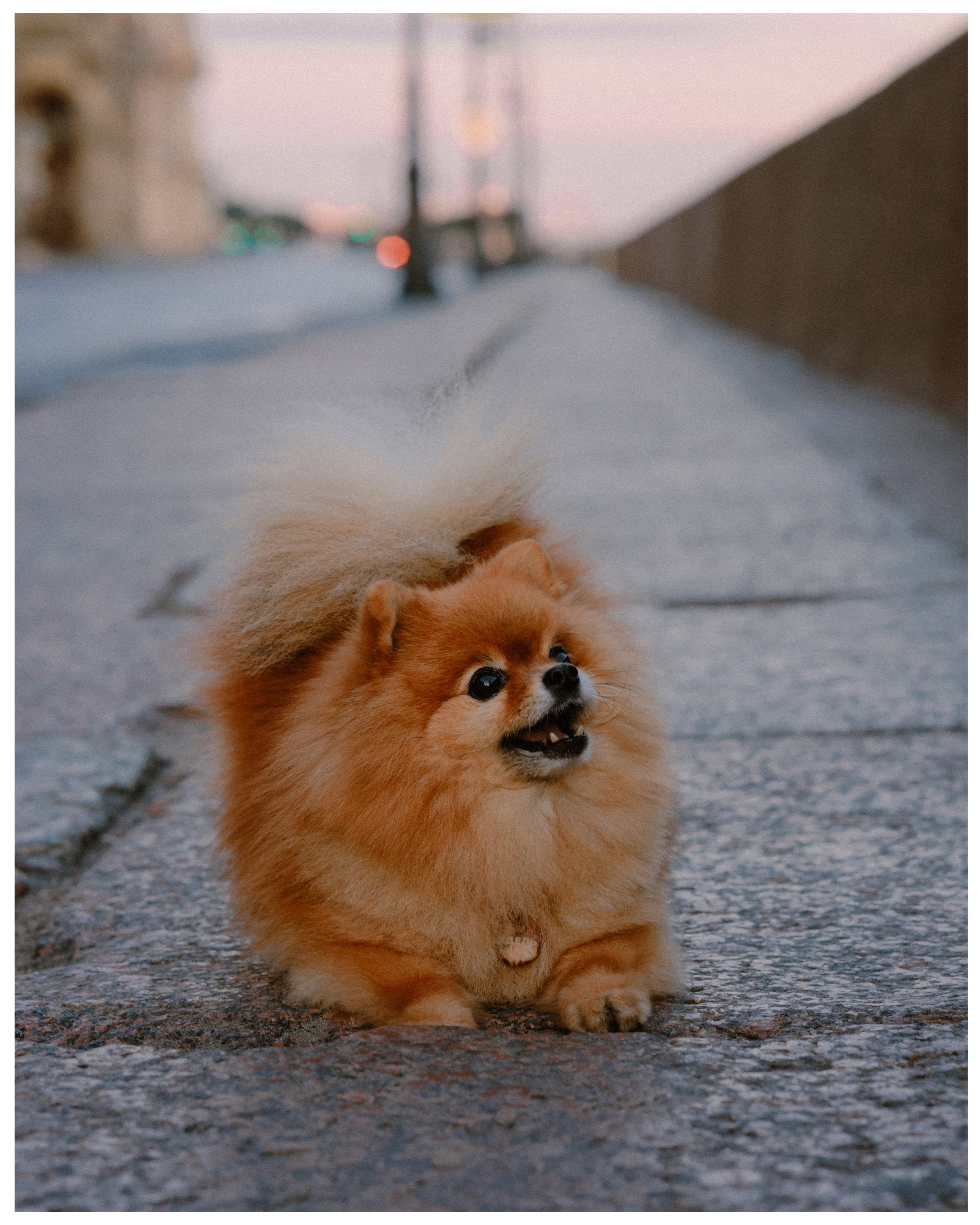 Карина и Адель. Фотограф в Санкт-Петербурге Алёна Губинская