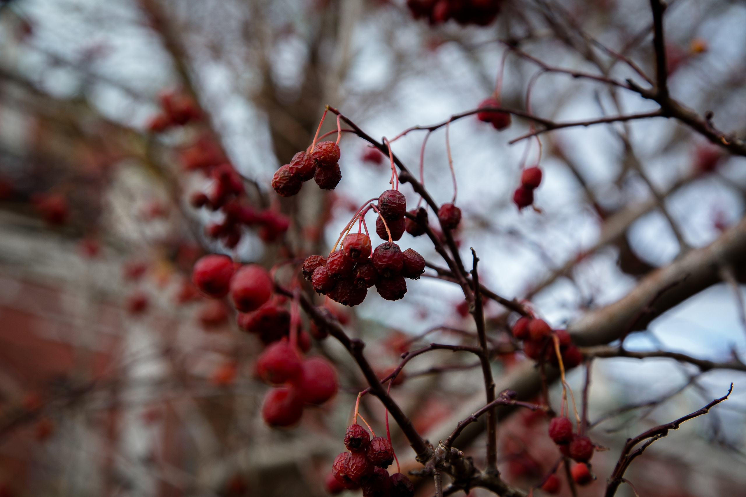 Старый Оренбург. Ваш фотограф в Оренбурге Рощупкина Екатерина
